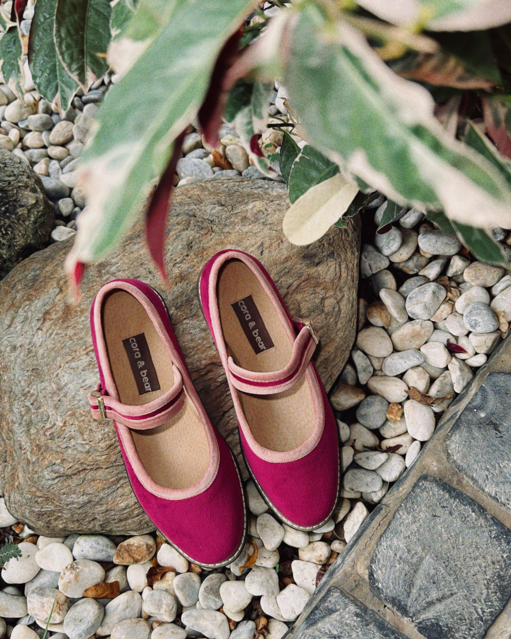 Two Tone Nona Dragonfruit (Preorder)