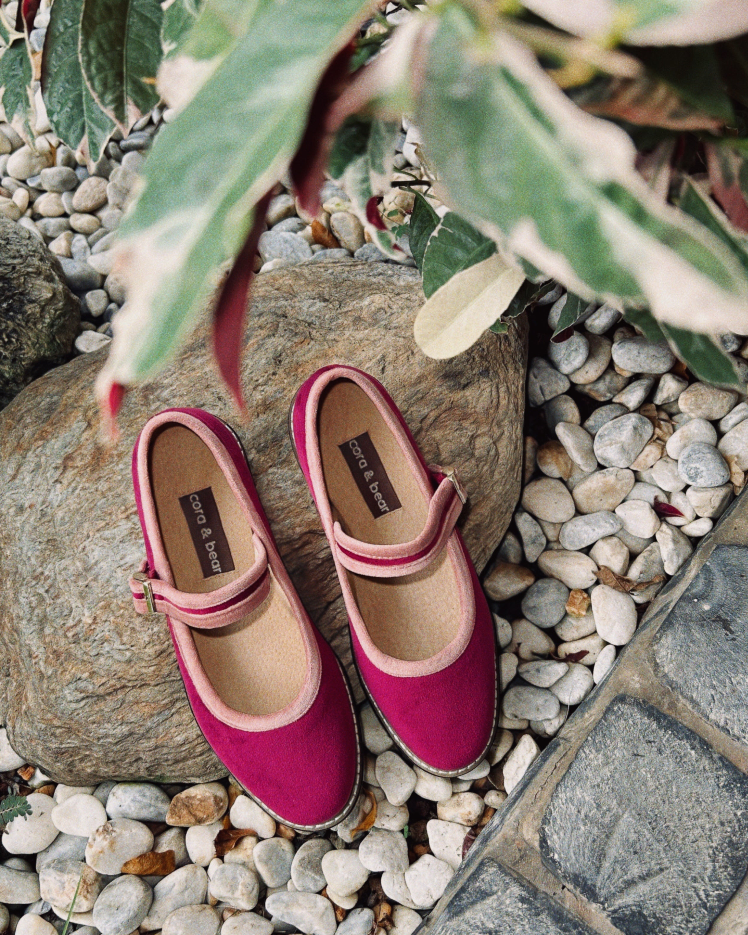 Two Tone Nona Dragonfruit (Preorder)