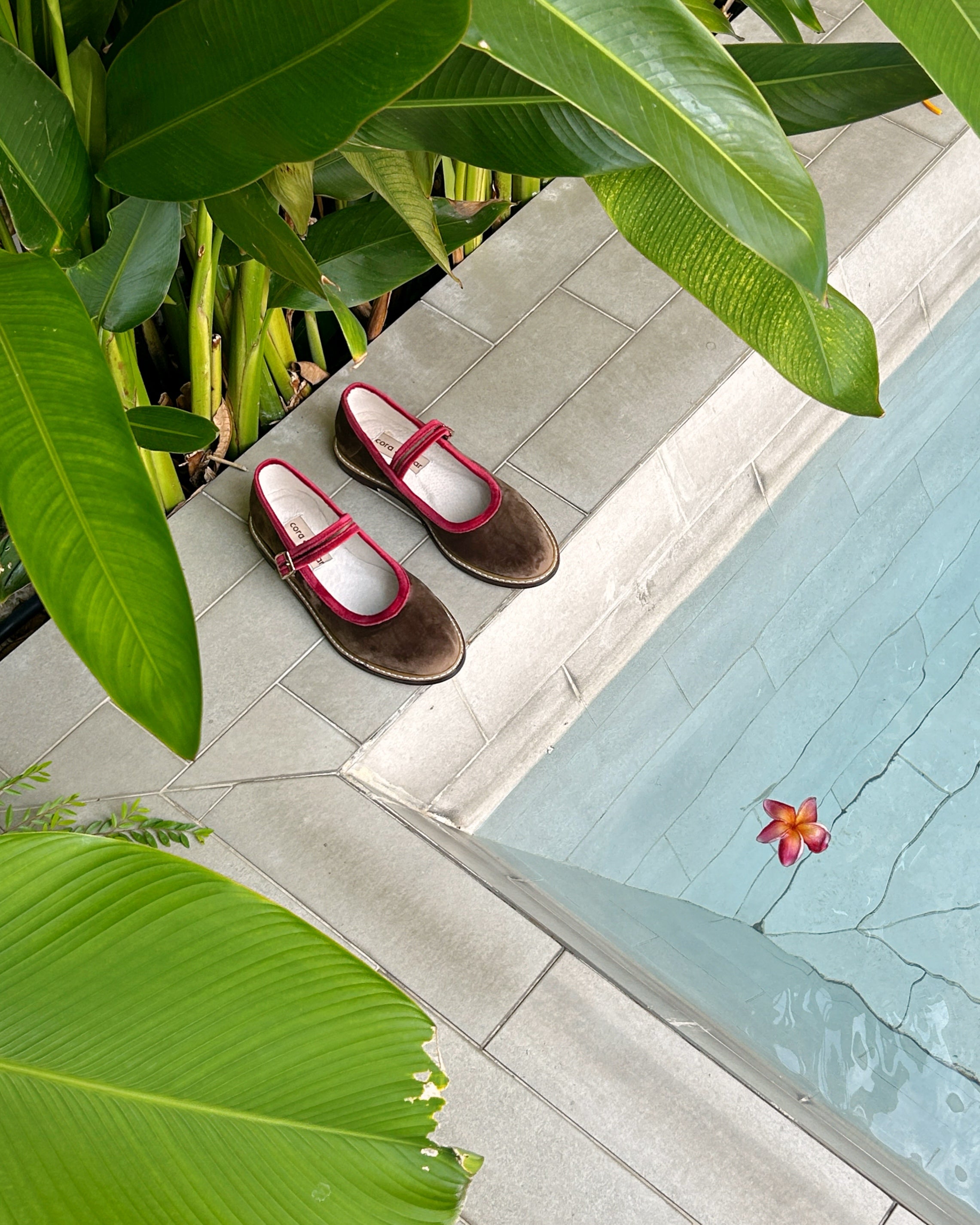 Two Tone Nona Jelly Donut (Preorder)