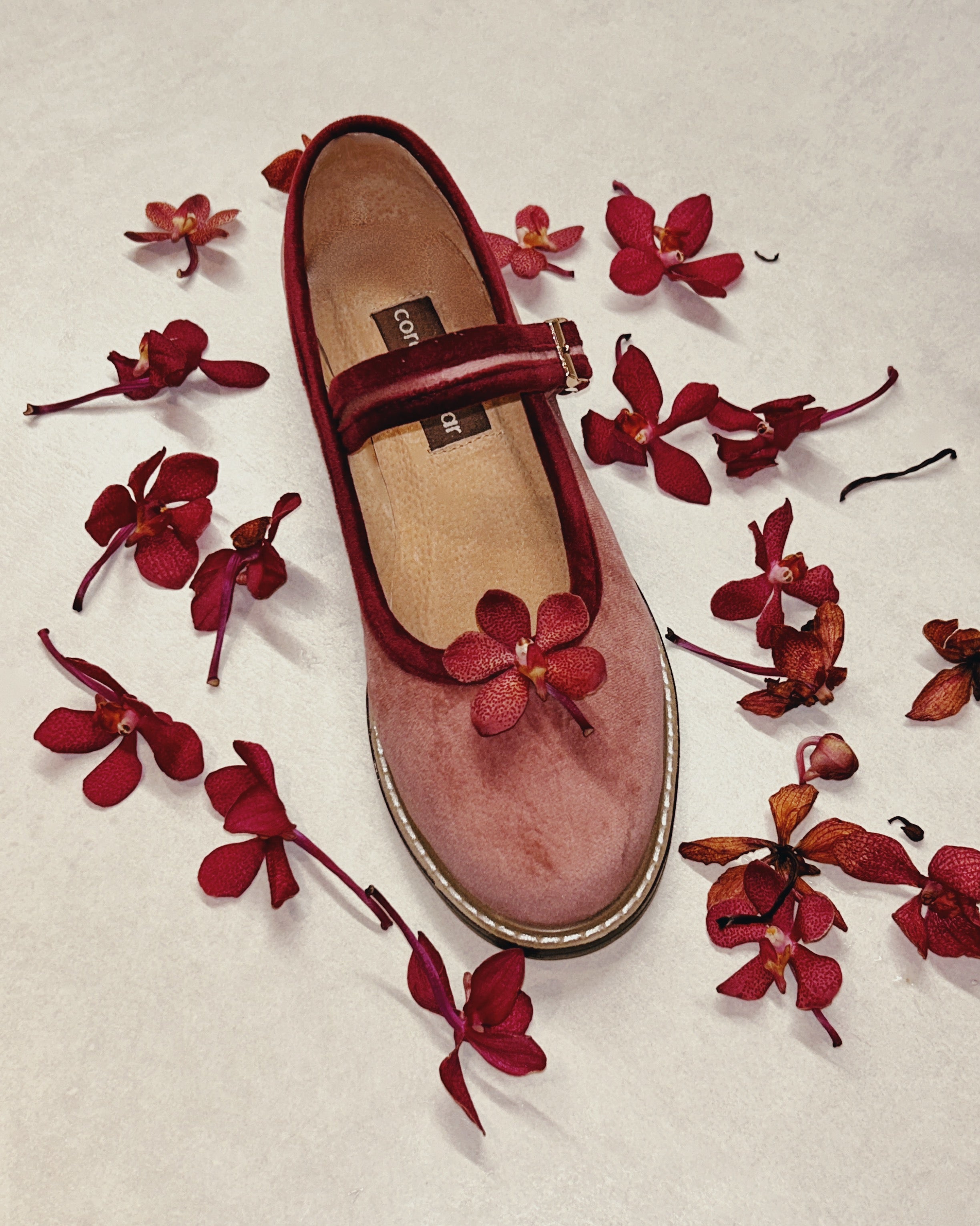 Two Tone Nona Plum Blossom (Preorder)