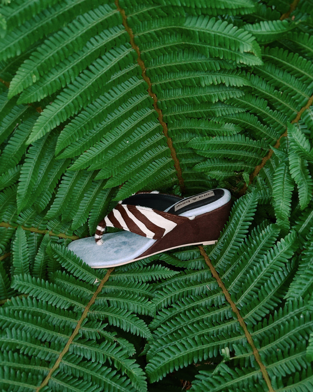 Oda Wedge Zebra Sky (Preorder)