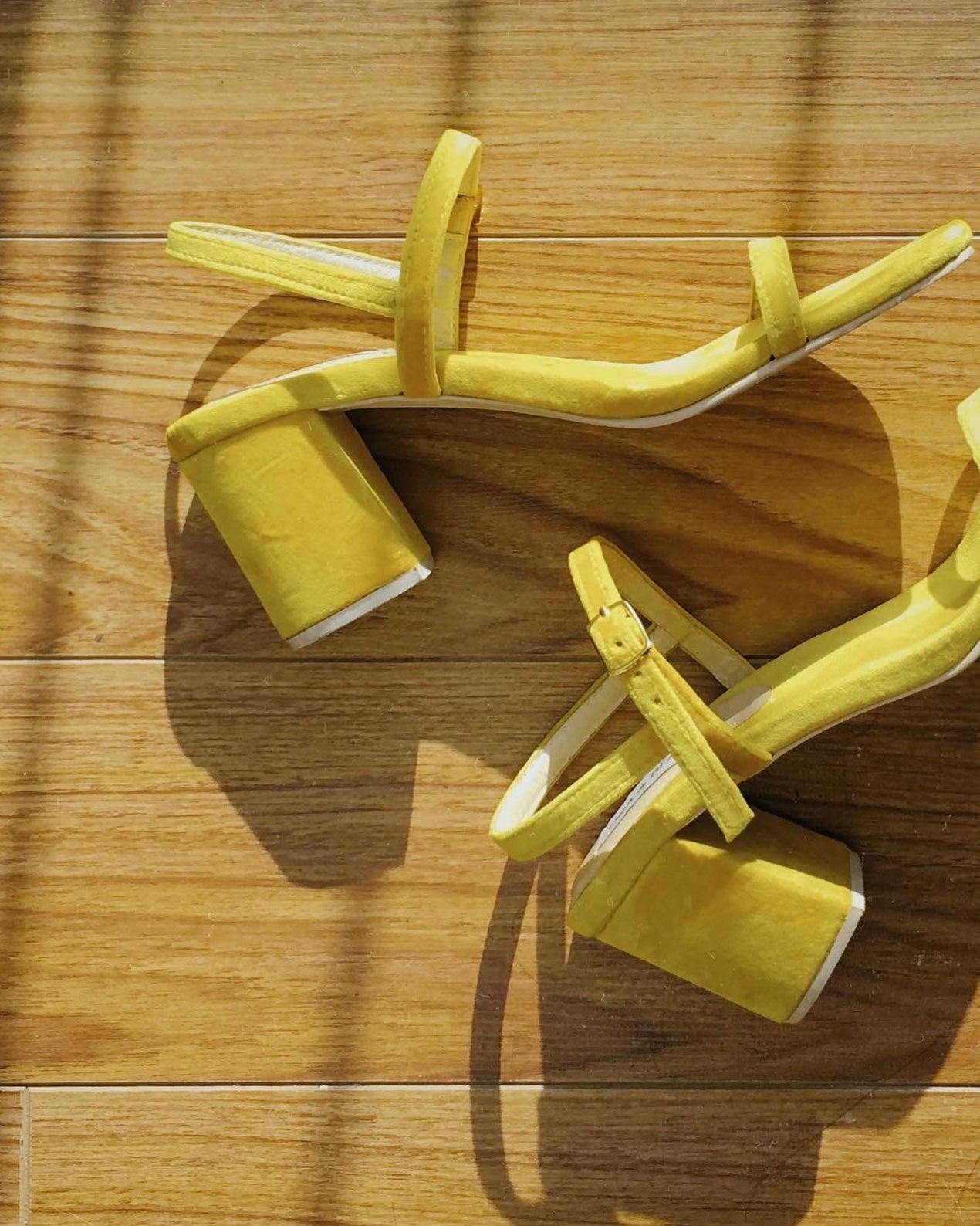 Salsa Sunflower Velvet