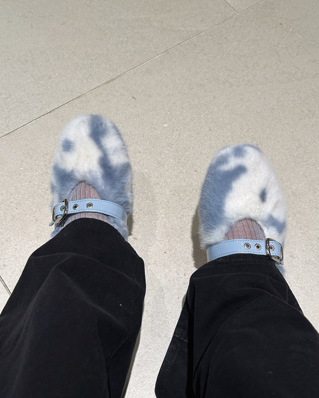 Cannoli Cow Flat Blue (Preorder)