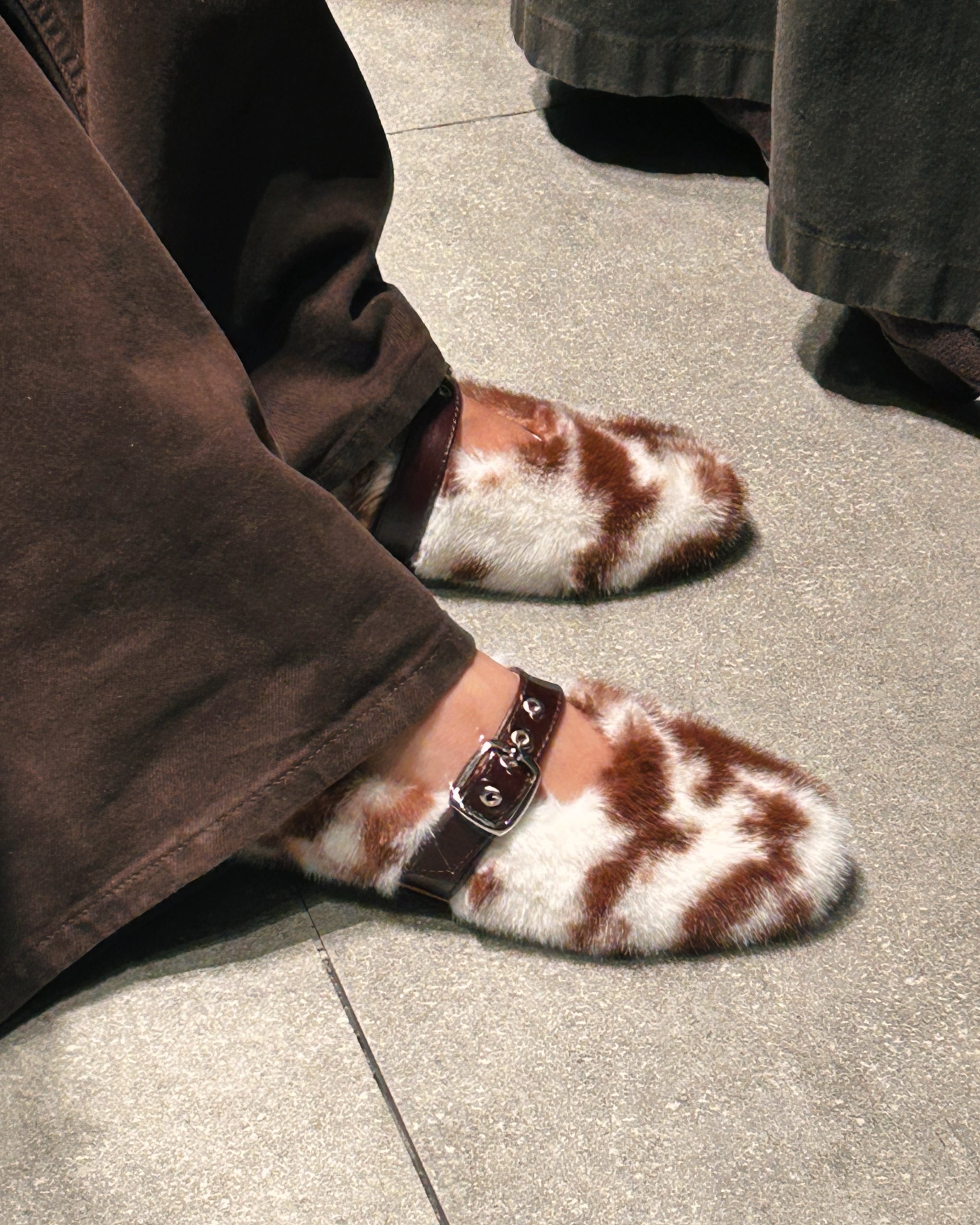 Cannoli Cow Flat Brown