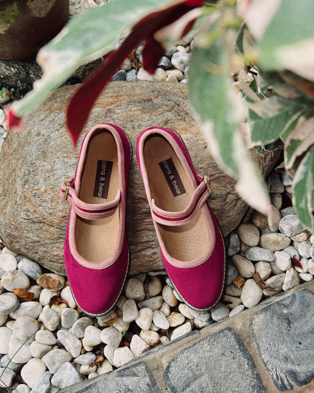 Two Tone Nona Dragonfruit (Preorder)
