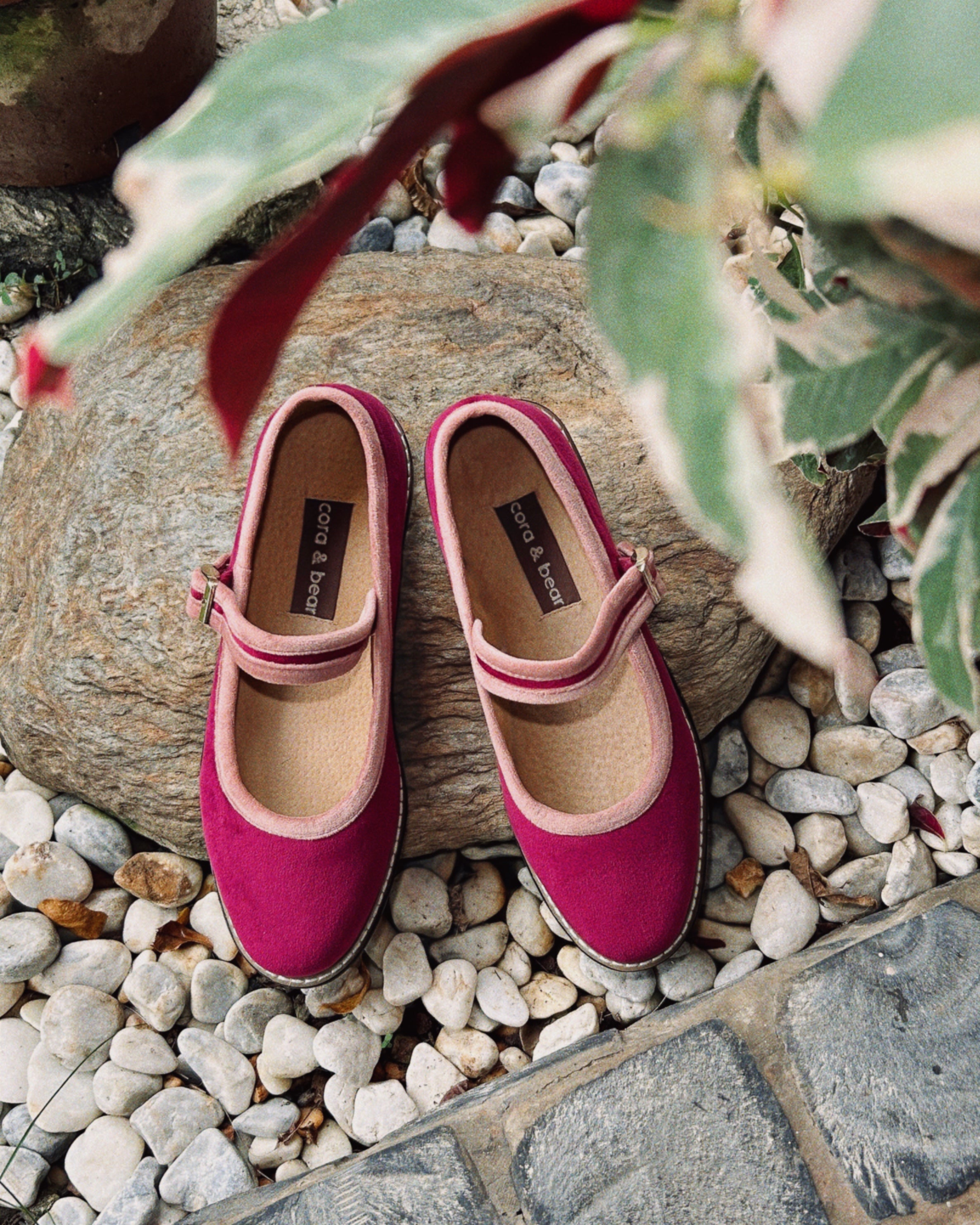 Two Tone Nona Dragonfruit (Preorder)