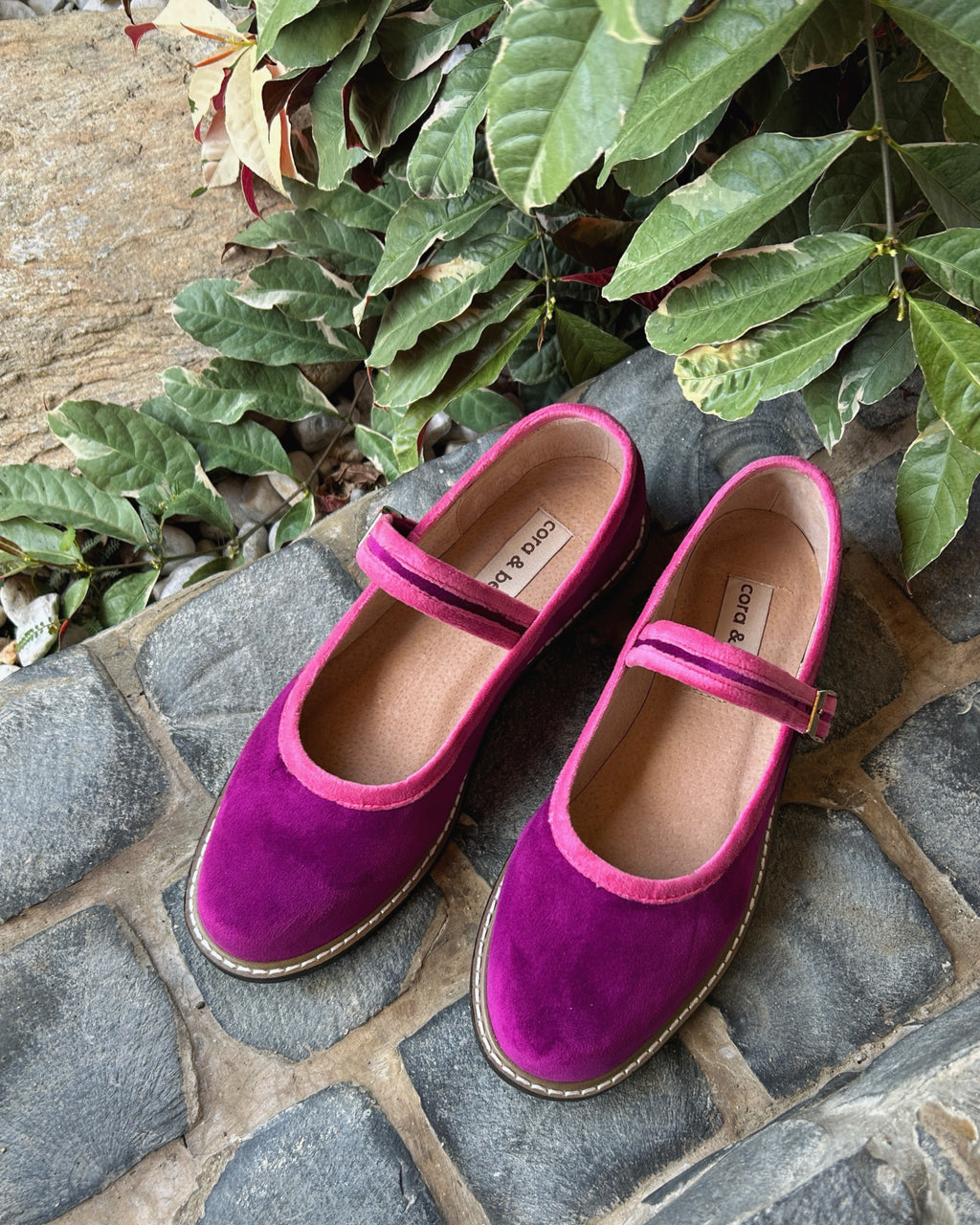 Two Tone Nona Orchid Peony (Preorder)