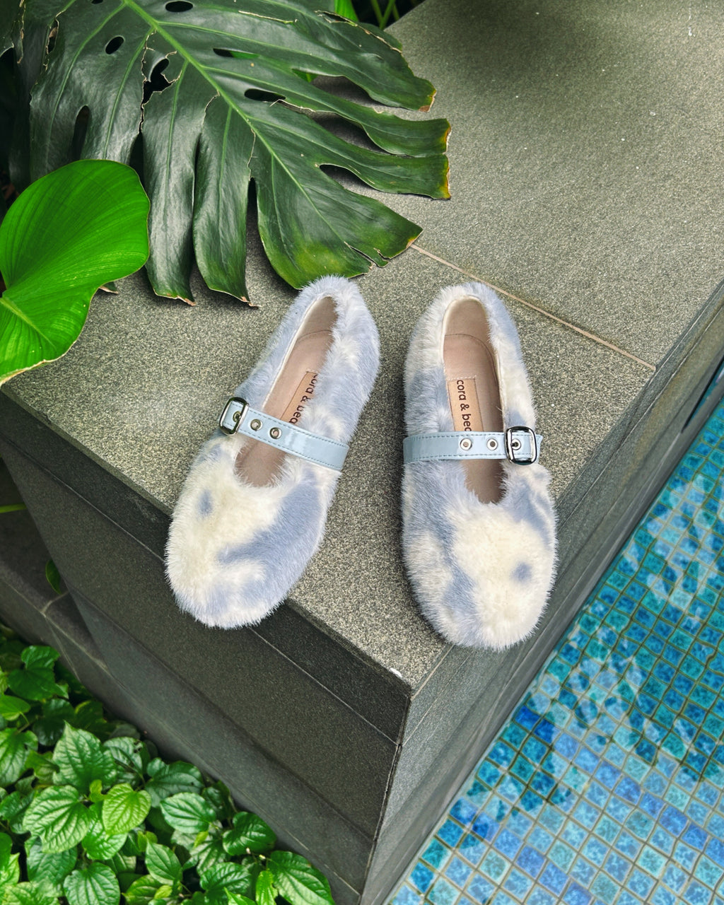 Cannoli Cow Flat Blue (Preorder)