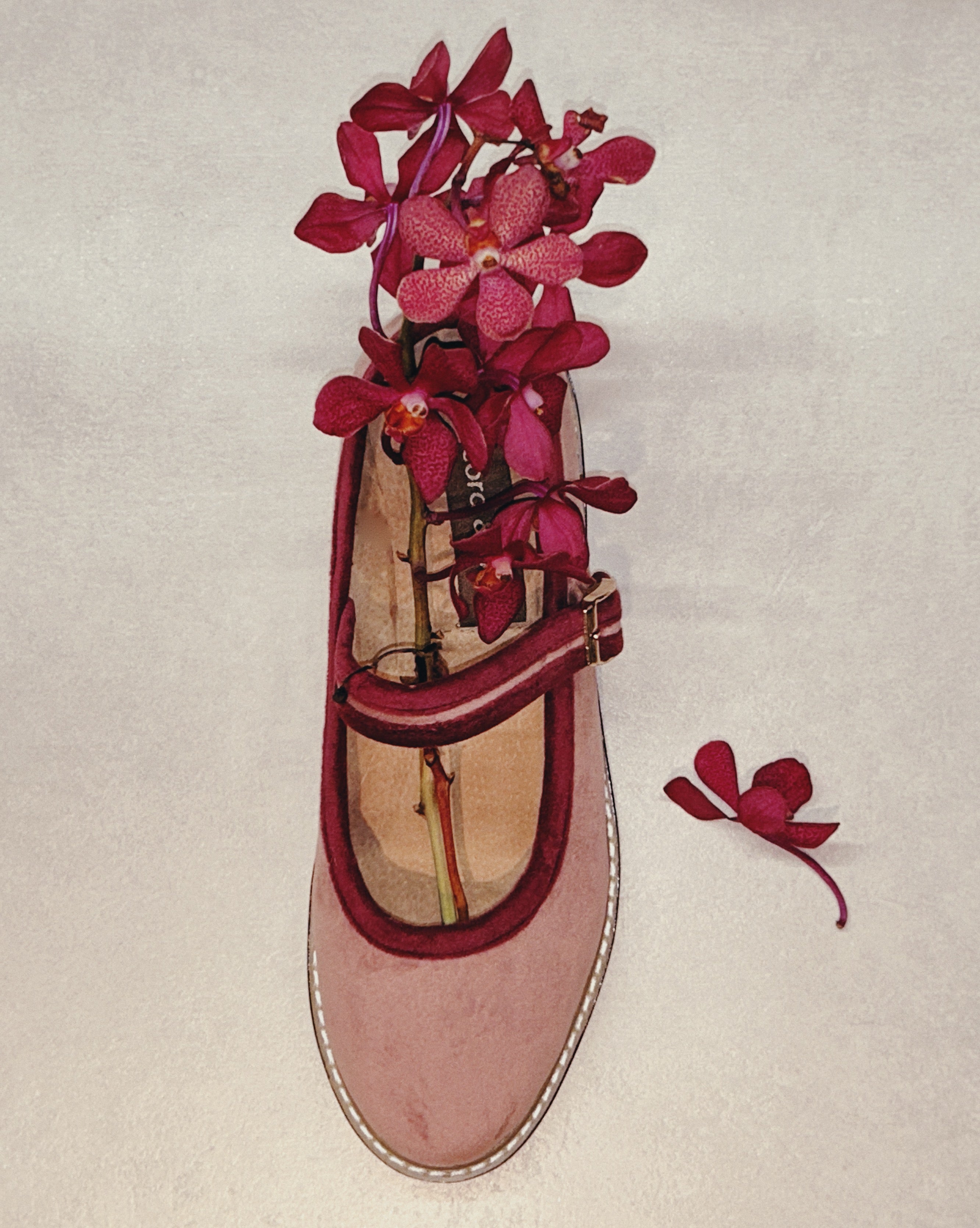 Two Tone Nona Plum Blossom (Preorder)