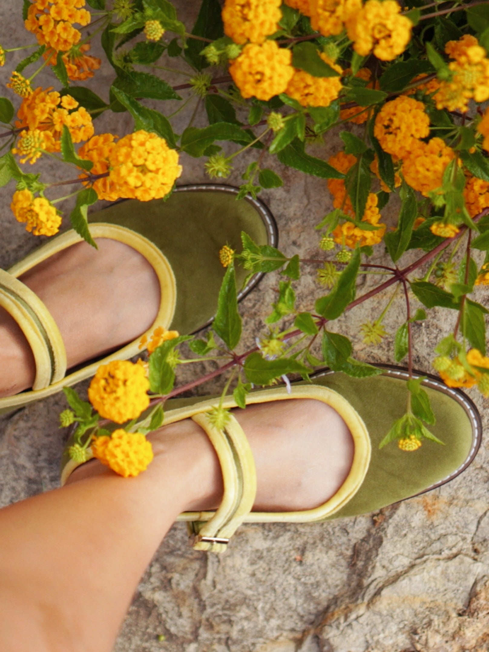 Two Tone Nona Lemon Olive (Preorder)