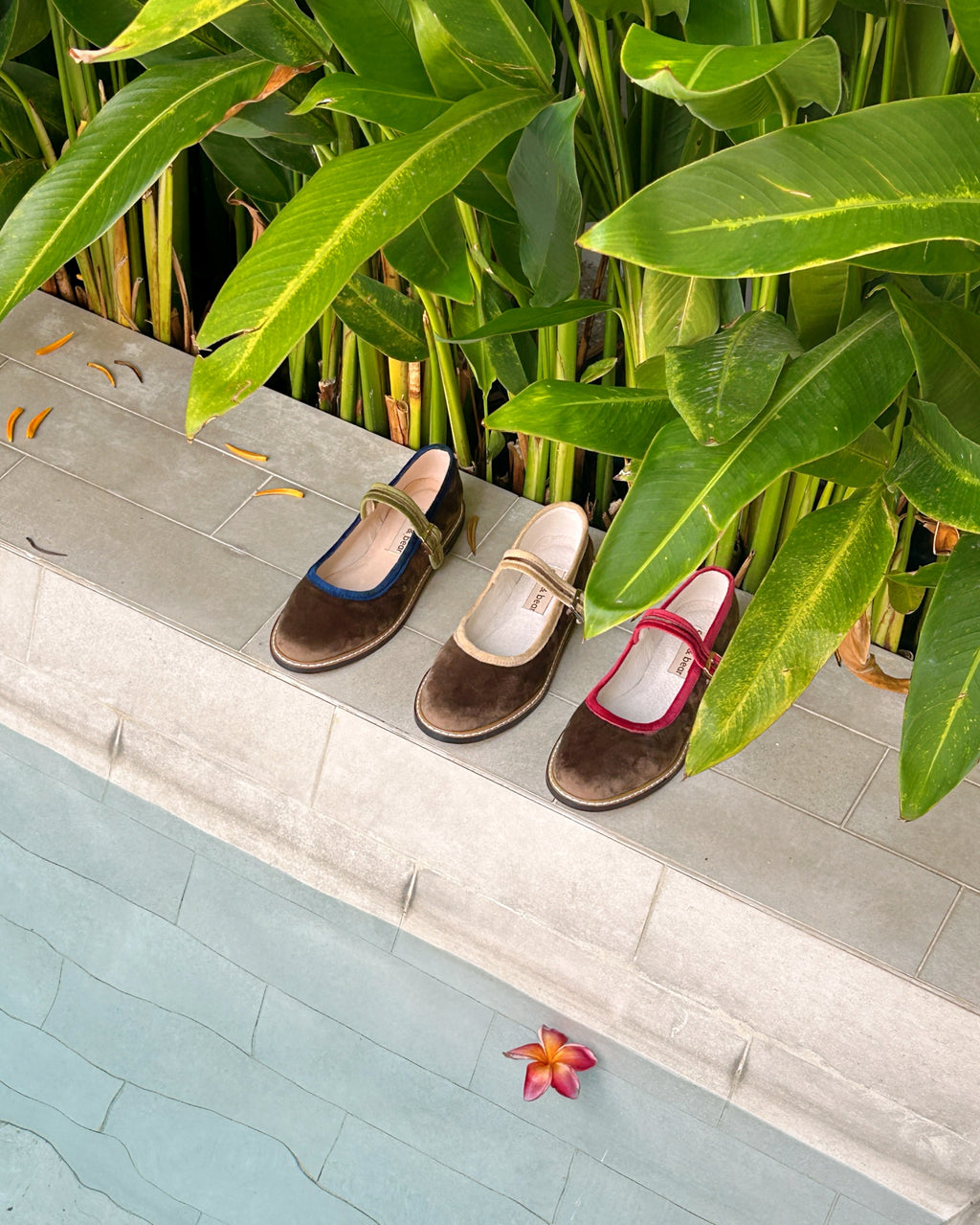 Two Tone Nona Brown Toffee