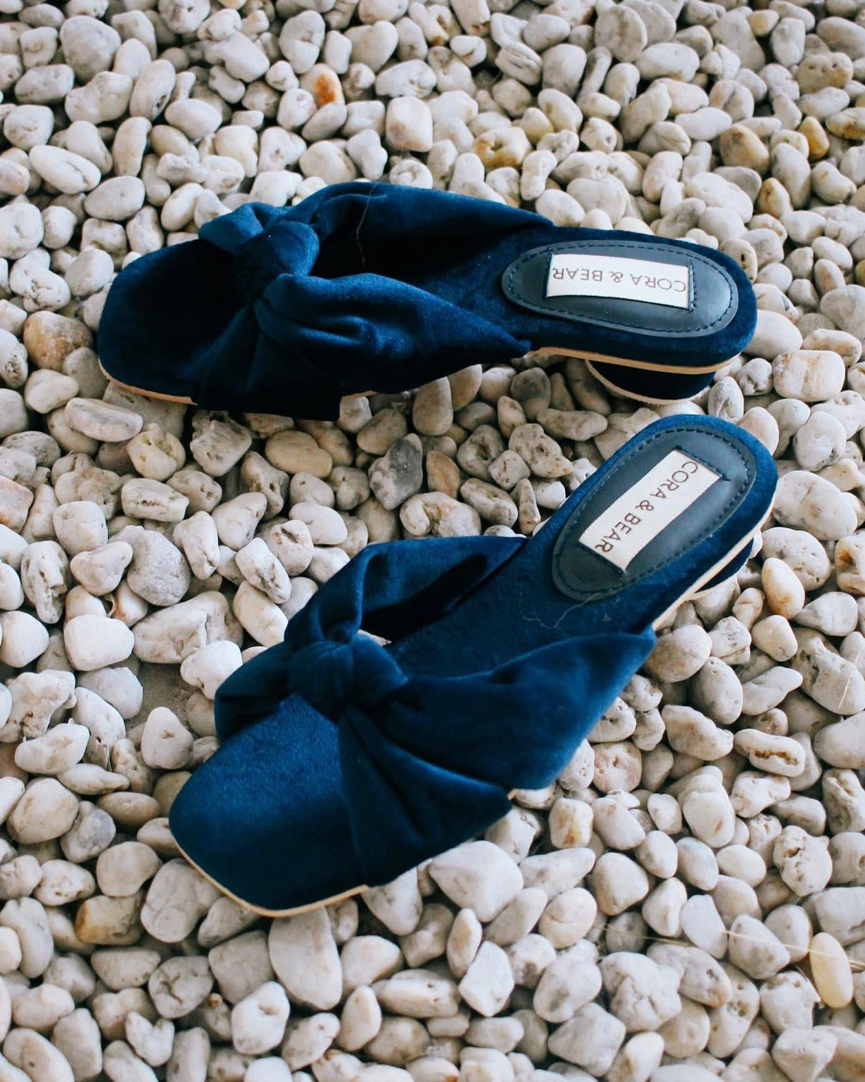 Flamenco Midnight Velvet (Preorder)