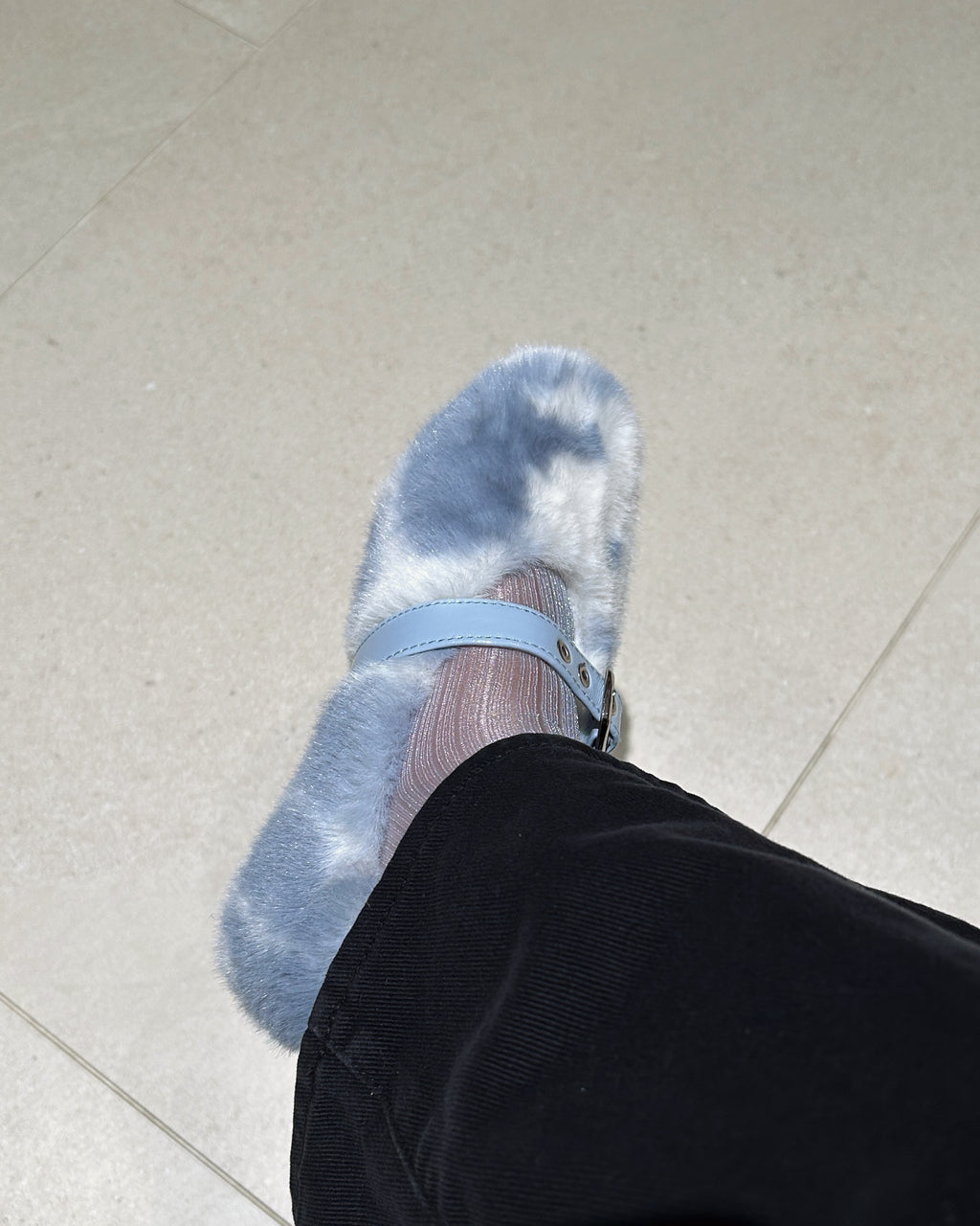 Cannoli Cow Flat Blue (Preorder)