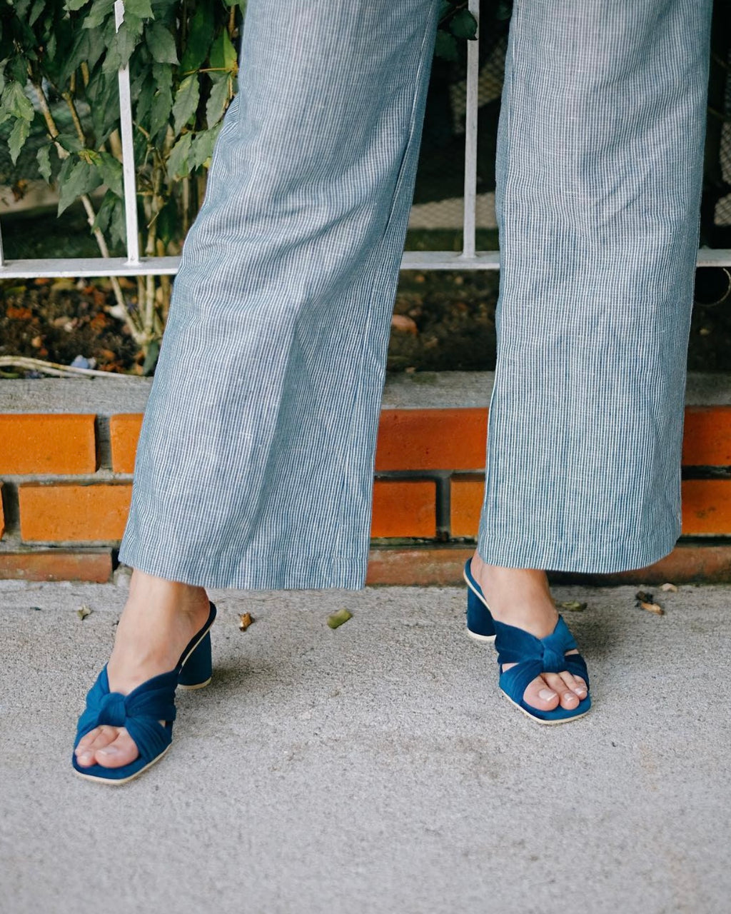 Tango Midnight Velvet (Preorder)