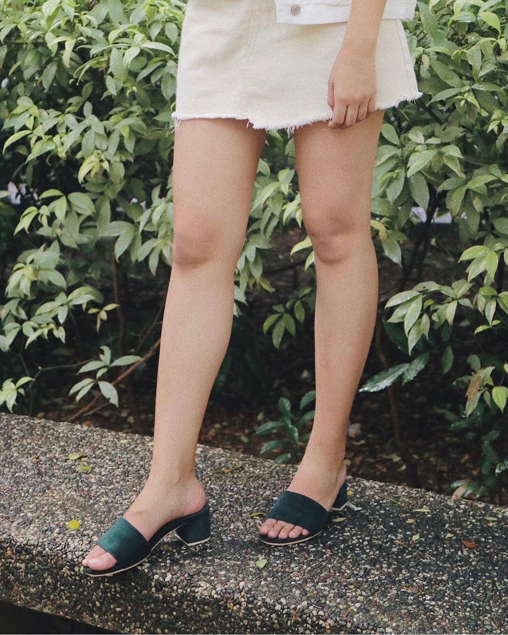 Picnic Black Velvet (Preorder)