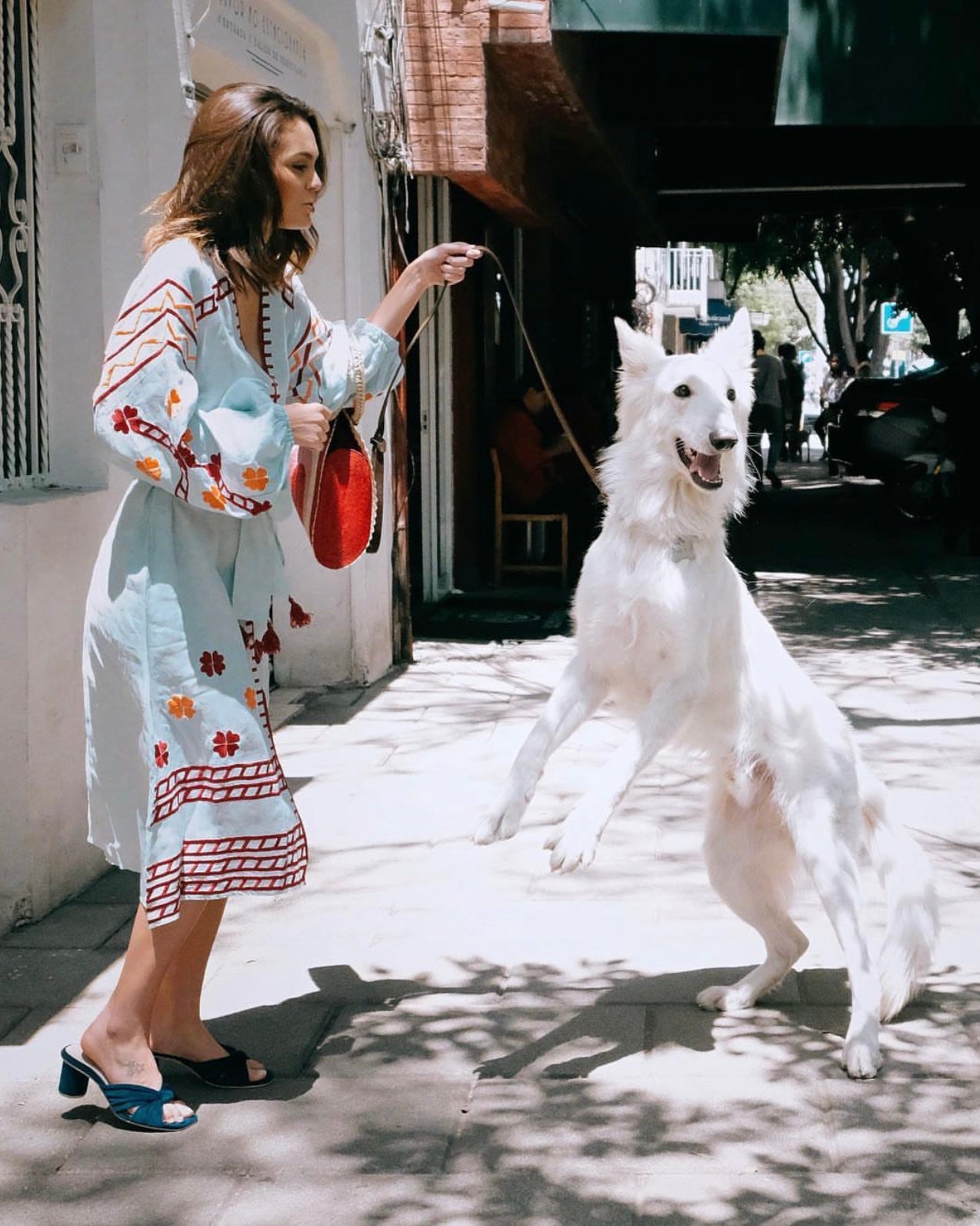 Tango Midnight Velvet (Preorder)