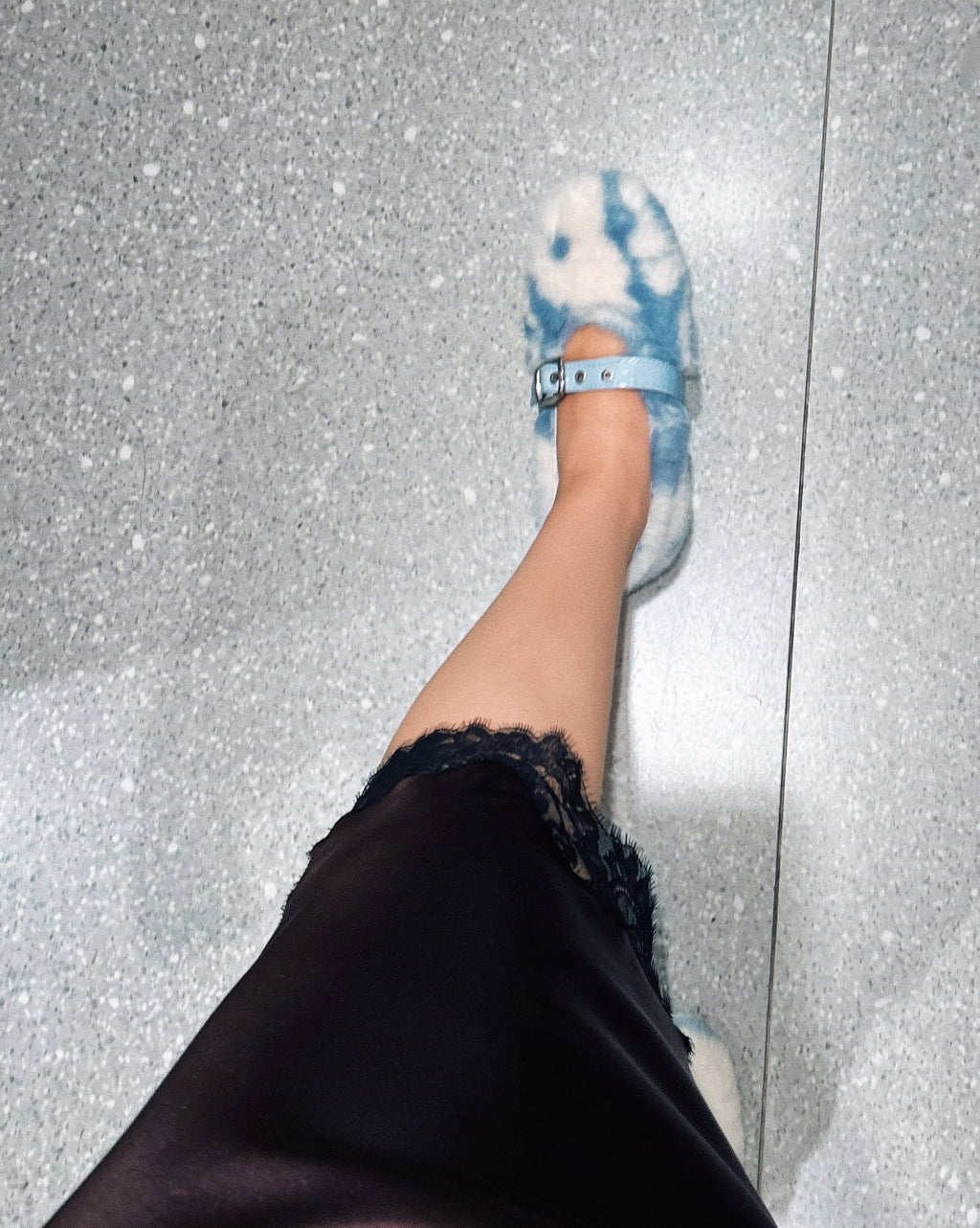 Cannoli Cow Flat Blue (Preorder)