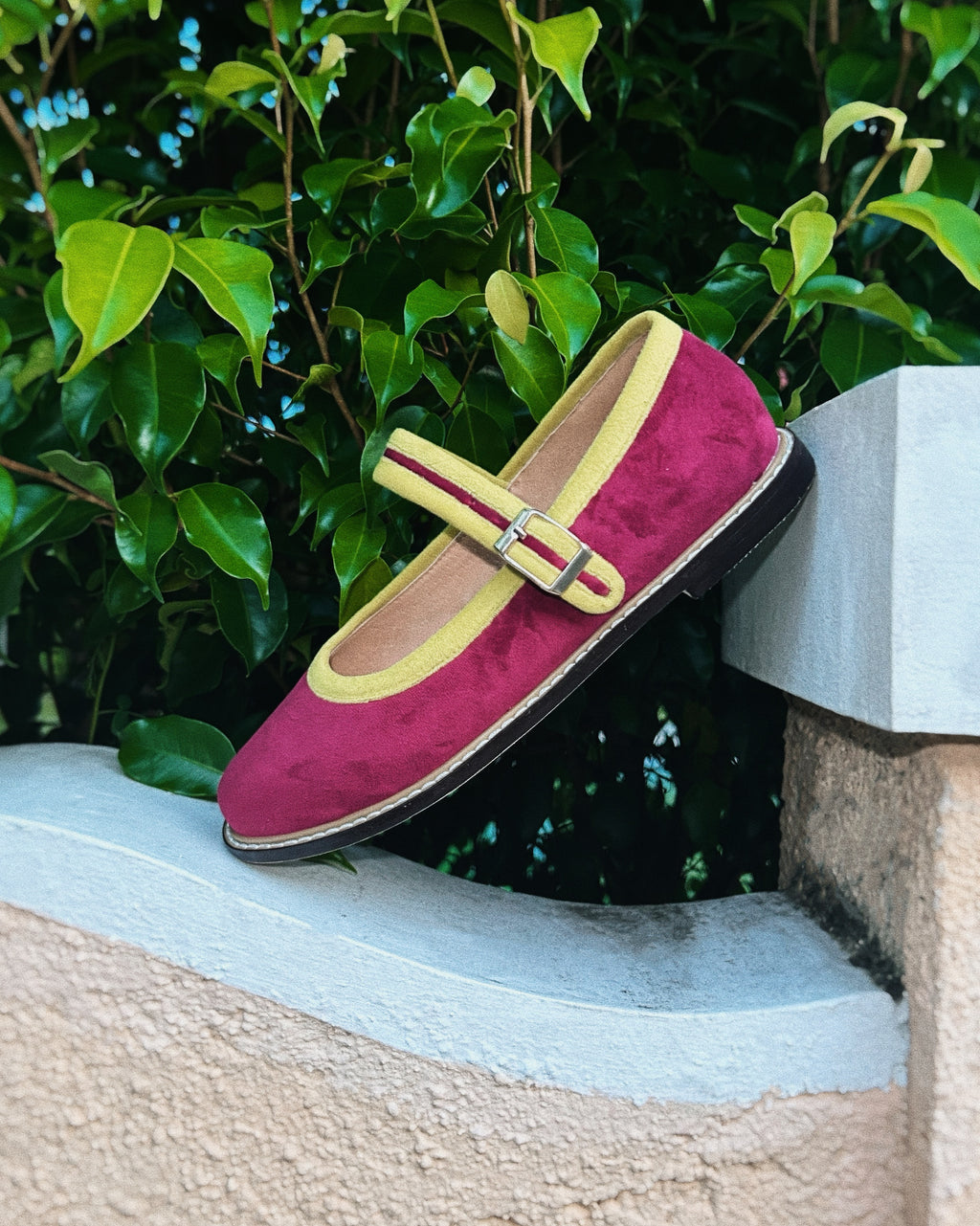 Two Tone Nona Fig (Preorder)
