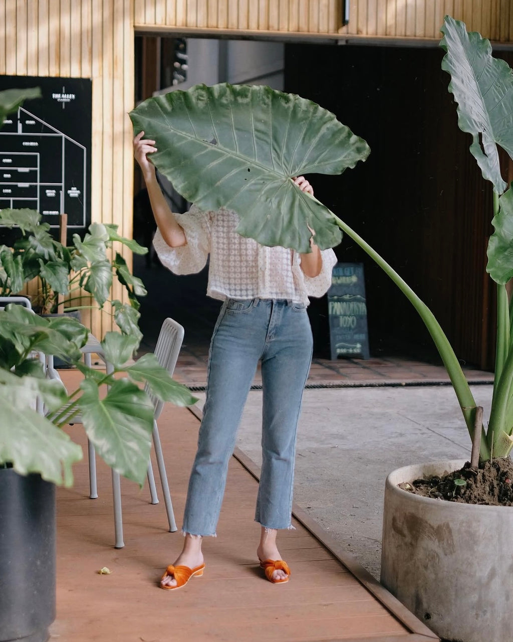 Flamenco Paprika Velvet (Preorder)