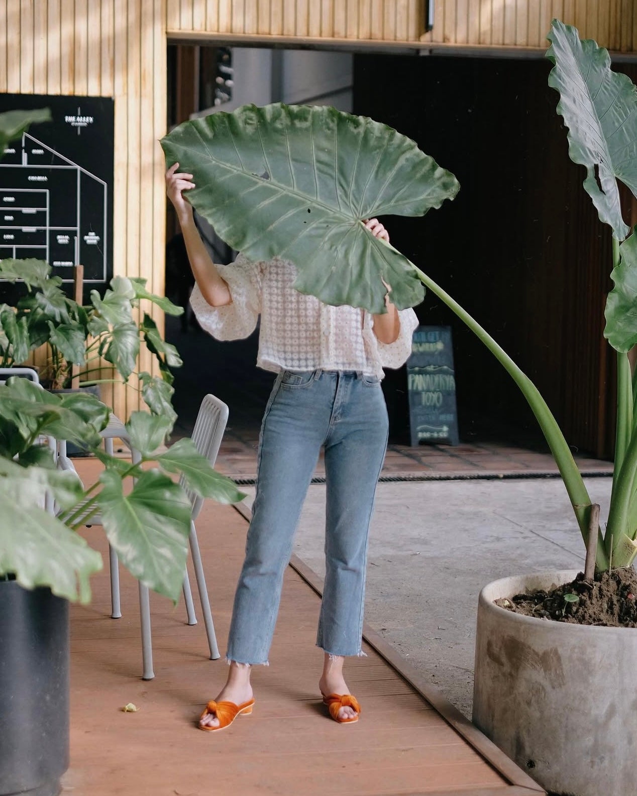 Flamenco Paprika Velvet (Preorder)