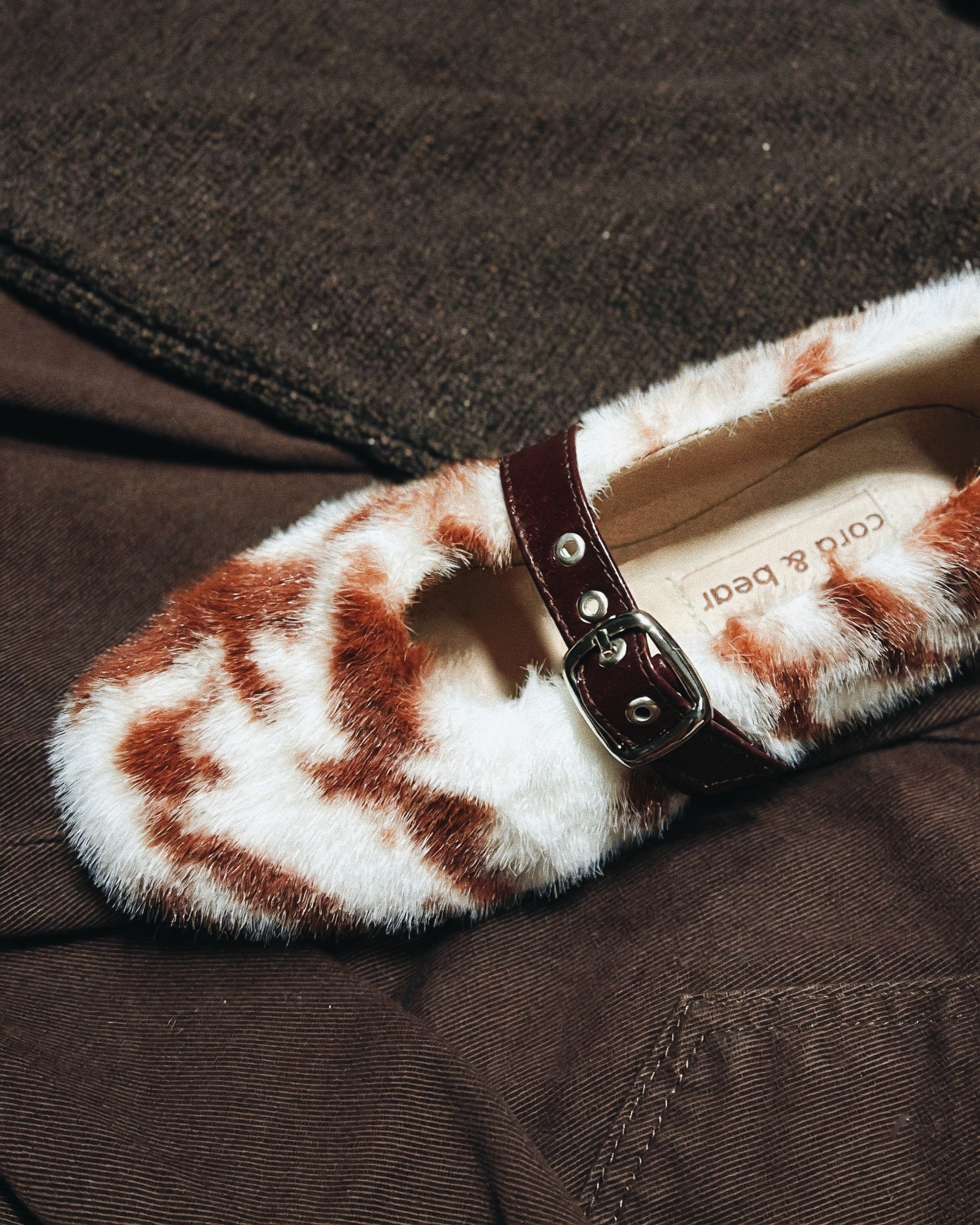 Cannoli Cow Flat Brown (Preorder)
