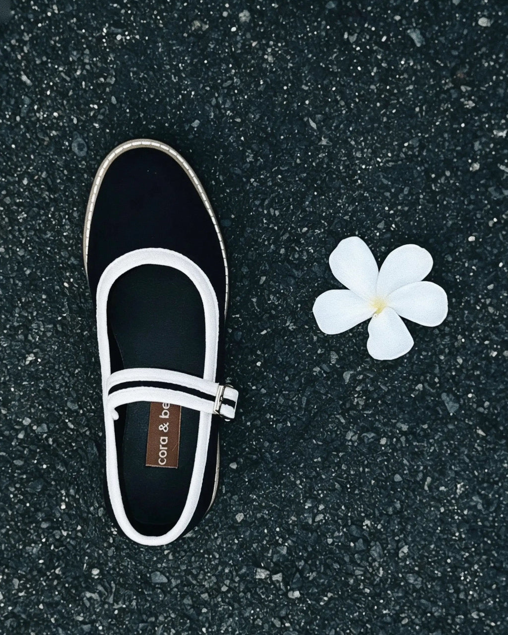 Two Tone Nona Viennetta (Preorder)
