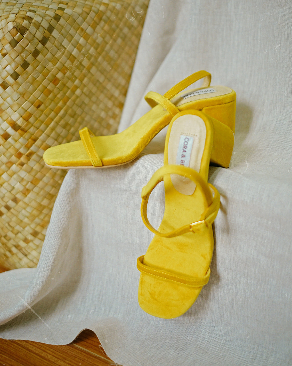 Salsa Sunflower - Cora and Bear