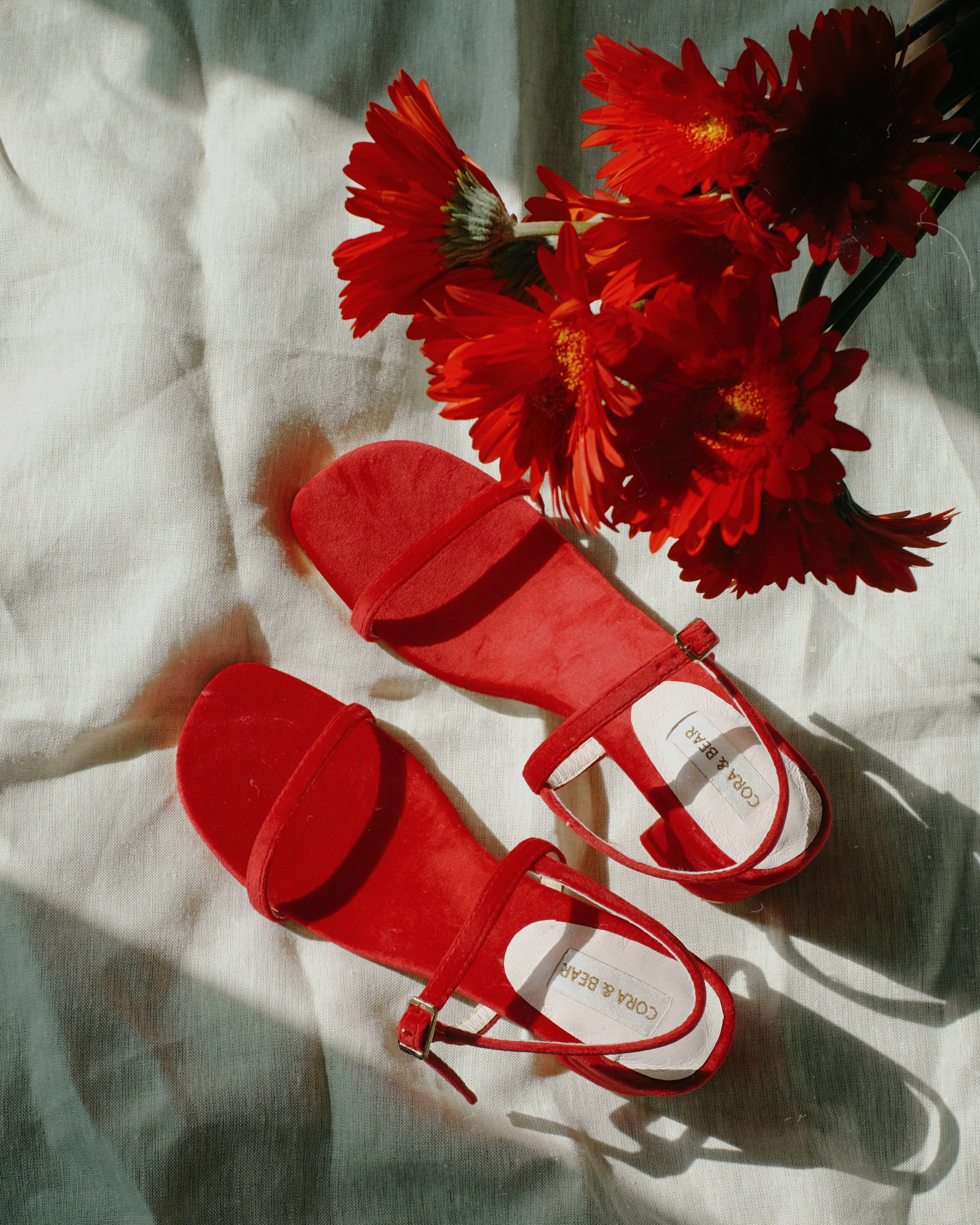 Salsa Cherry - Cora and Bear