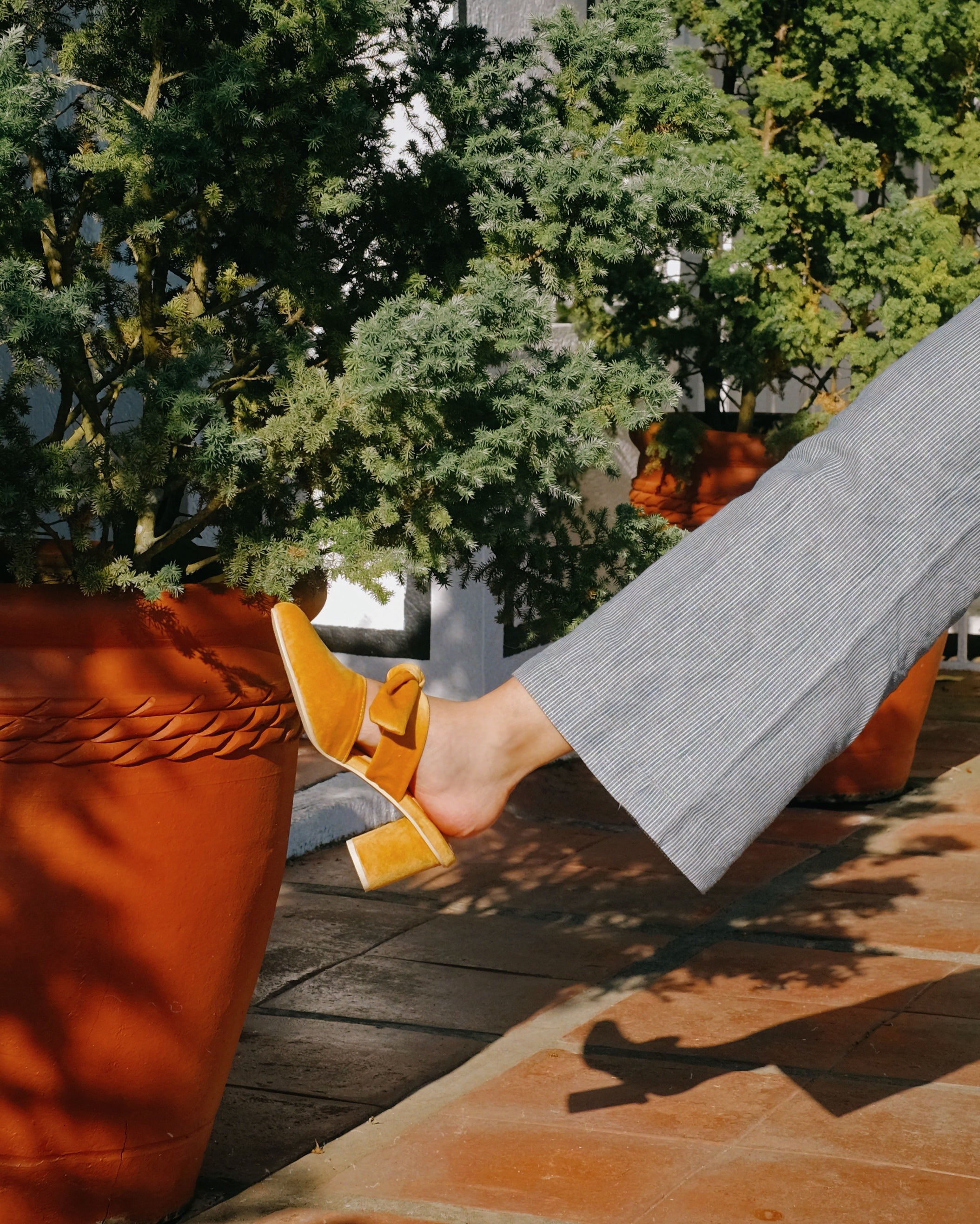 Weekend Honey - Cora and Bear