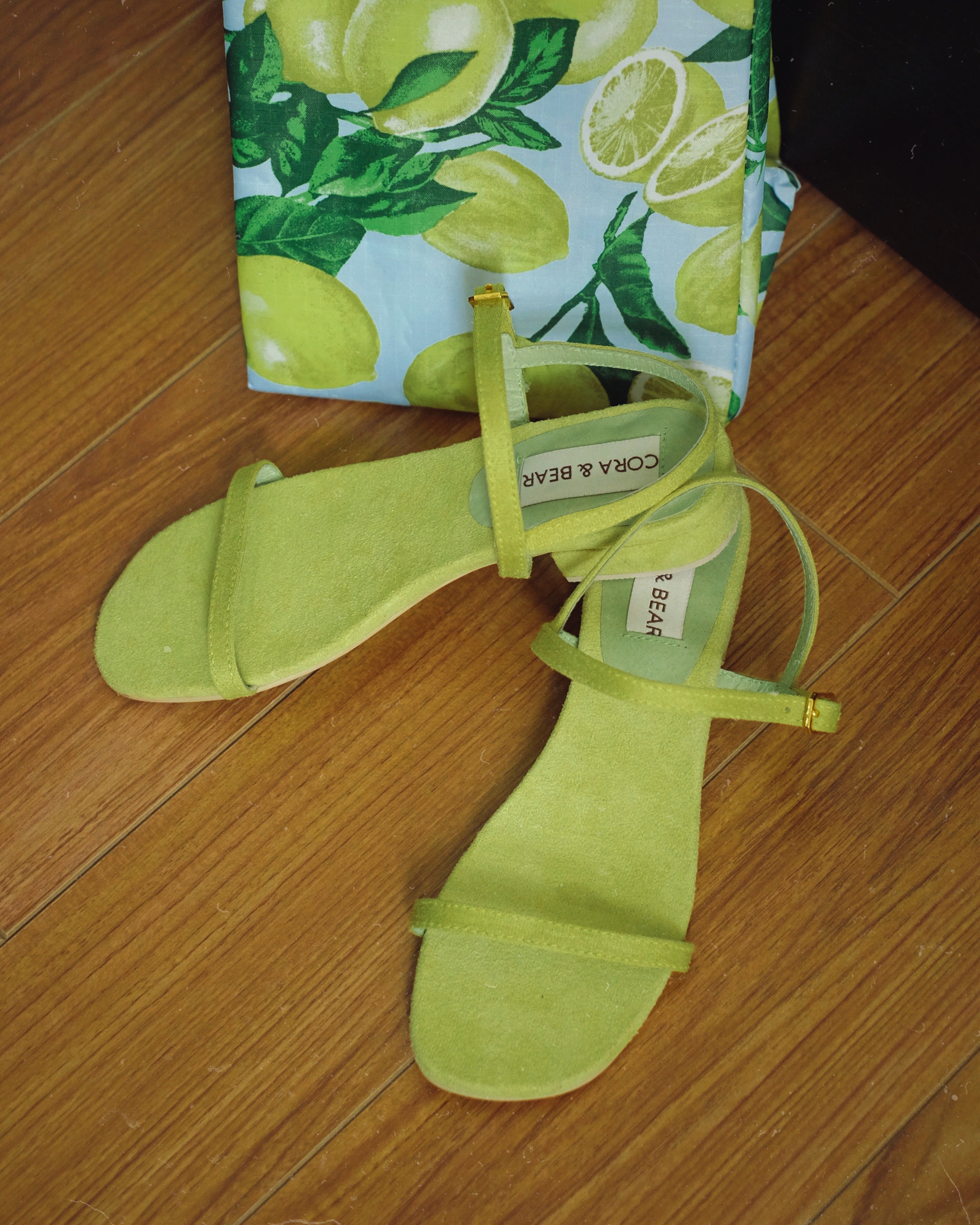 Salsita Mini Avocado - Cora and Bear