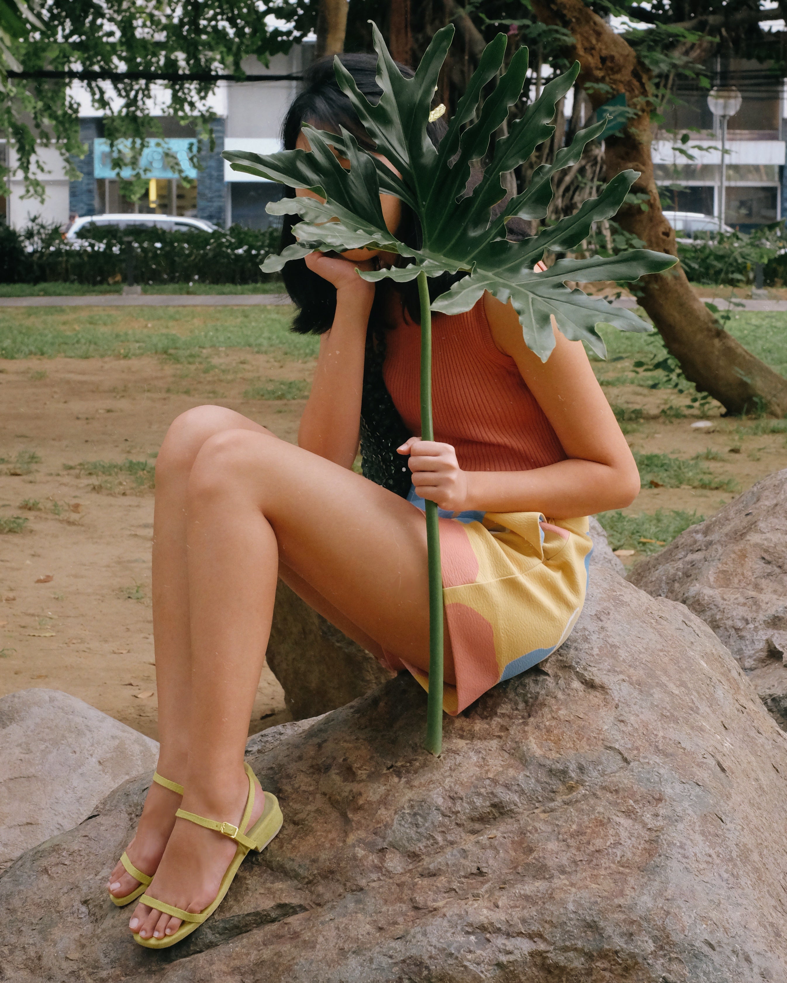 Salsita Mini Avocado - Cora and Bear