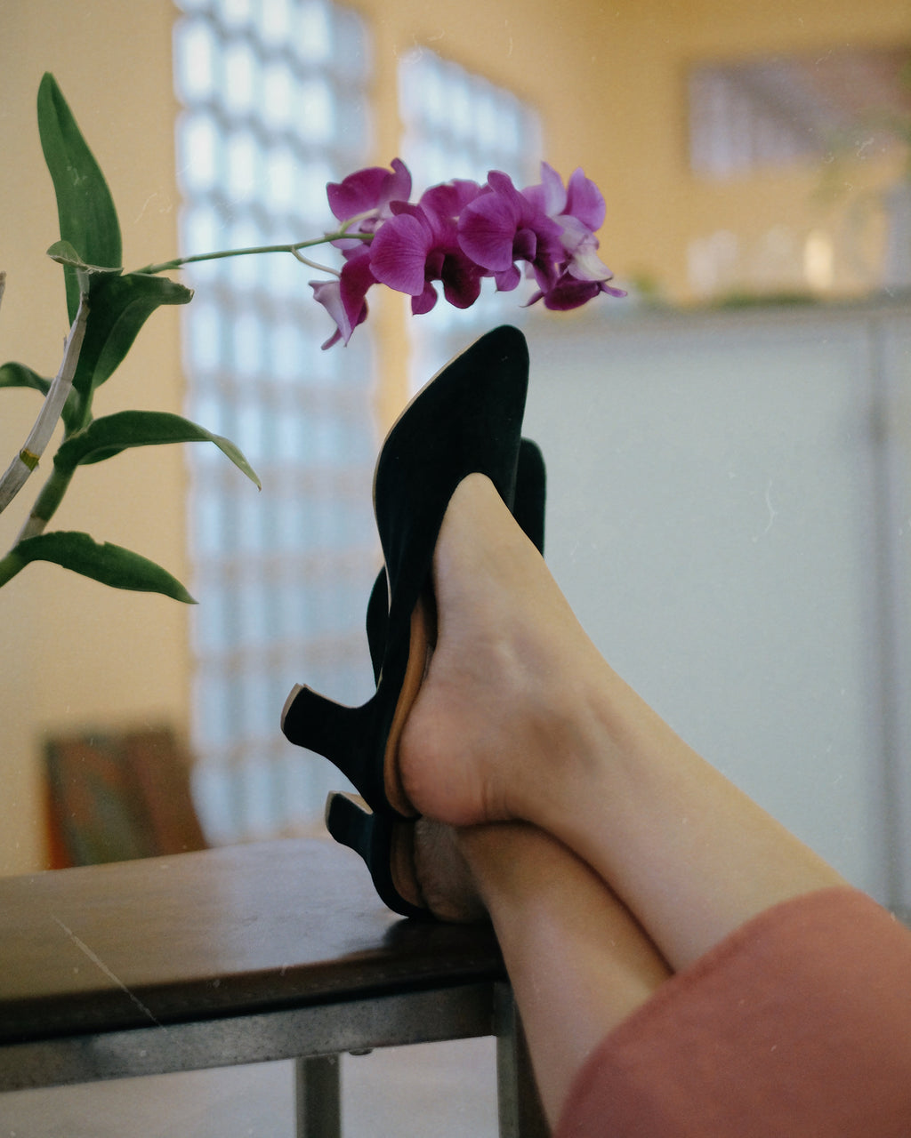 Jackie Black - Cora and Bear