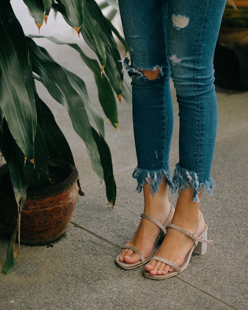 Salsa Taupe - Cora and Bear