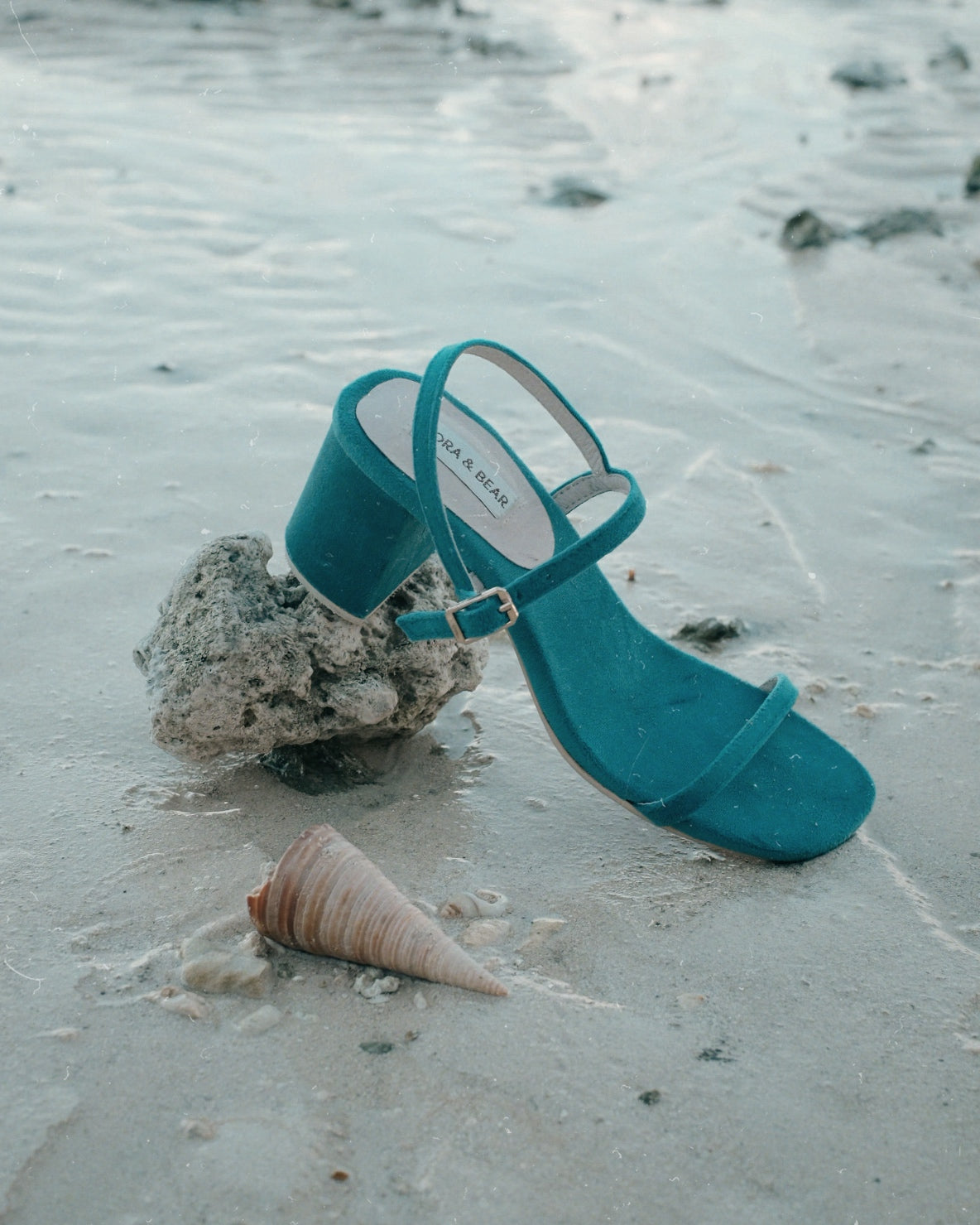 Salsa Seaside - Cora and Bear