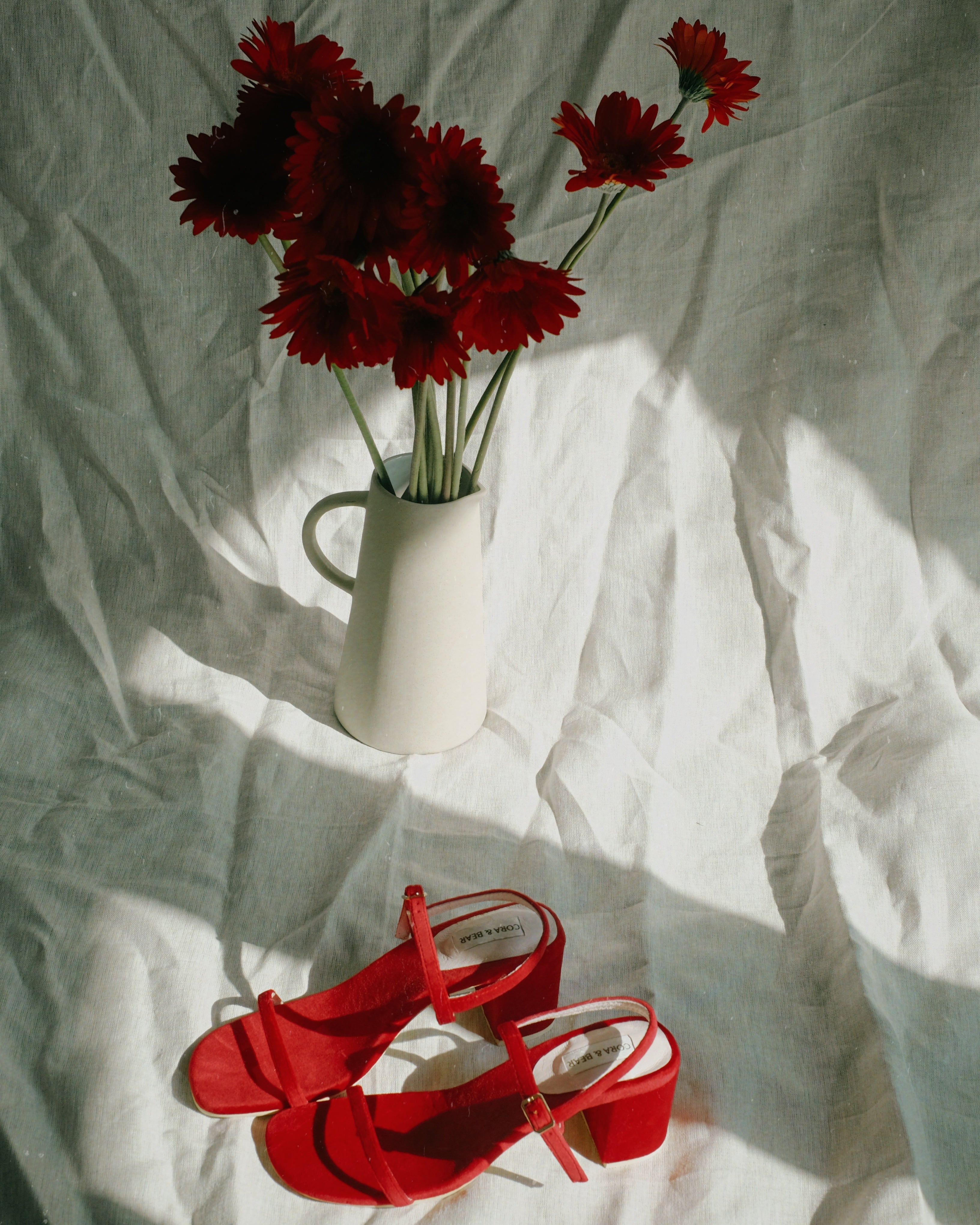 Salsa Cherry - Cora and Bear