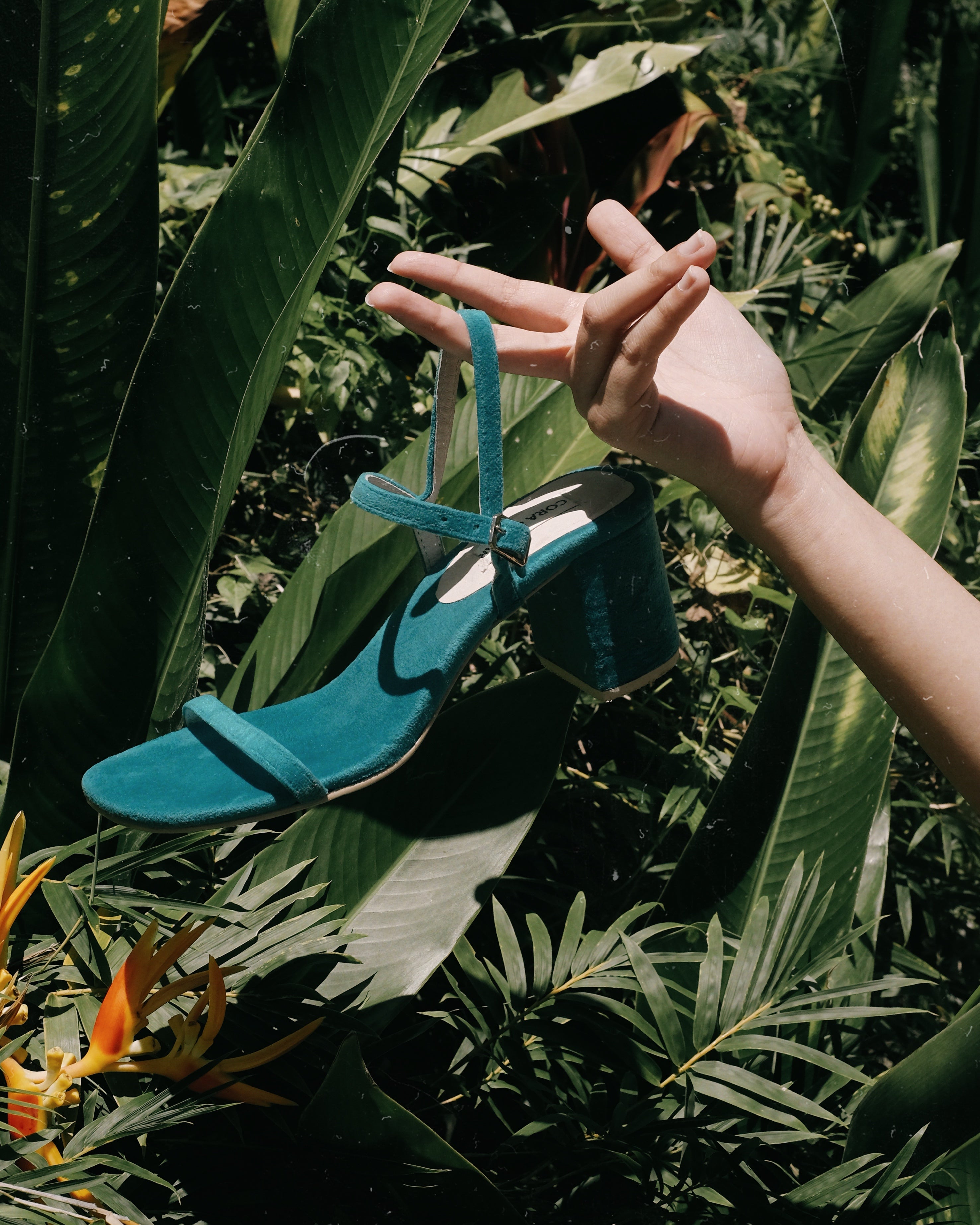 Salsa Seaside - Cora and Bear