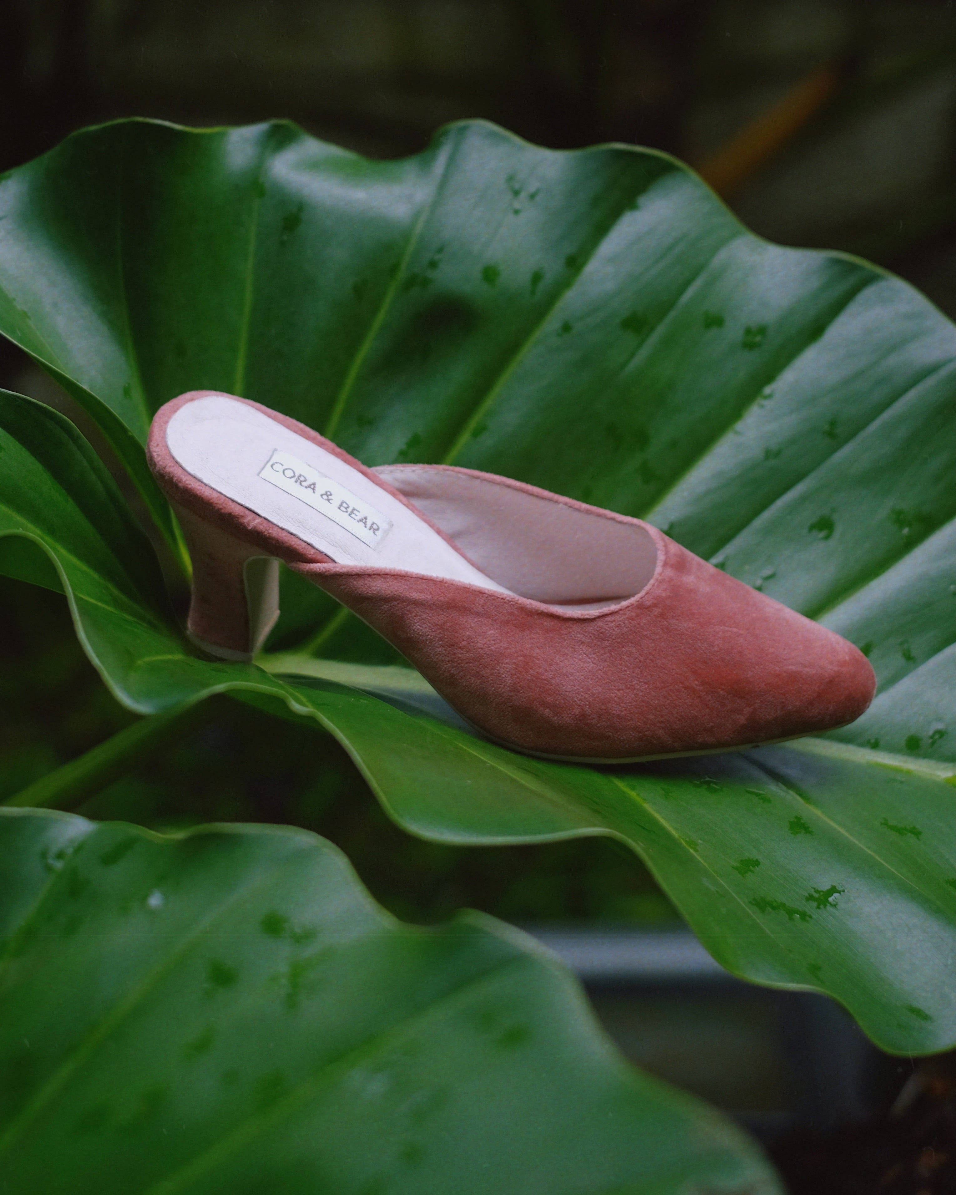 Jackie Blossom - Cora and Bear