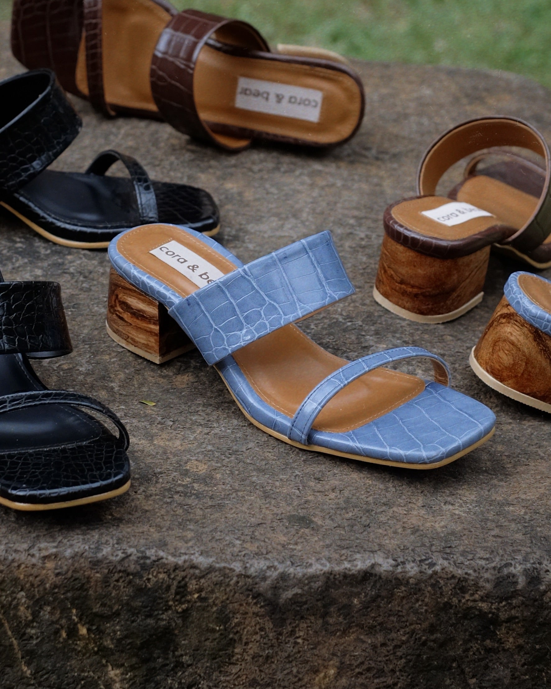 Jupiter Lagoon - Cora and Bear