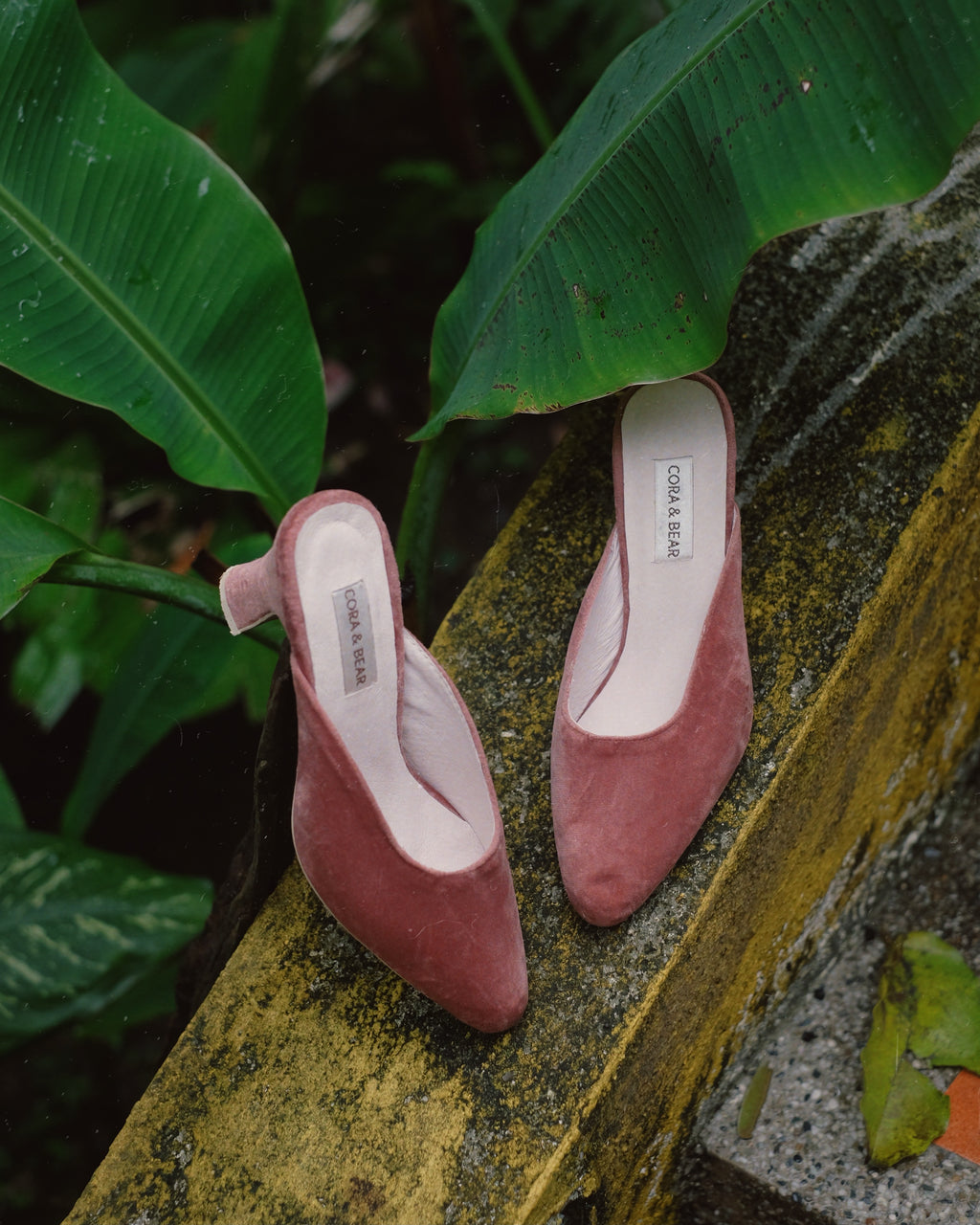 Jackie Blossom - Cora and Bear