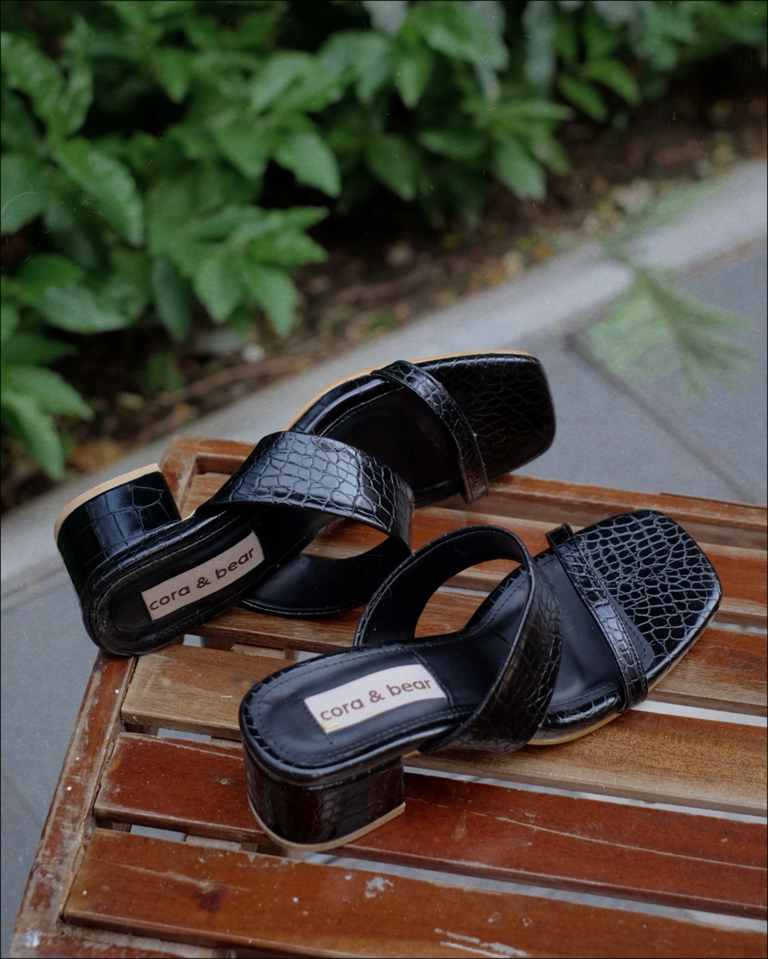 Jupiter Black - Cora and Bear