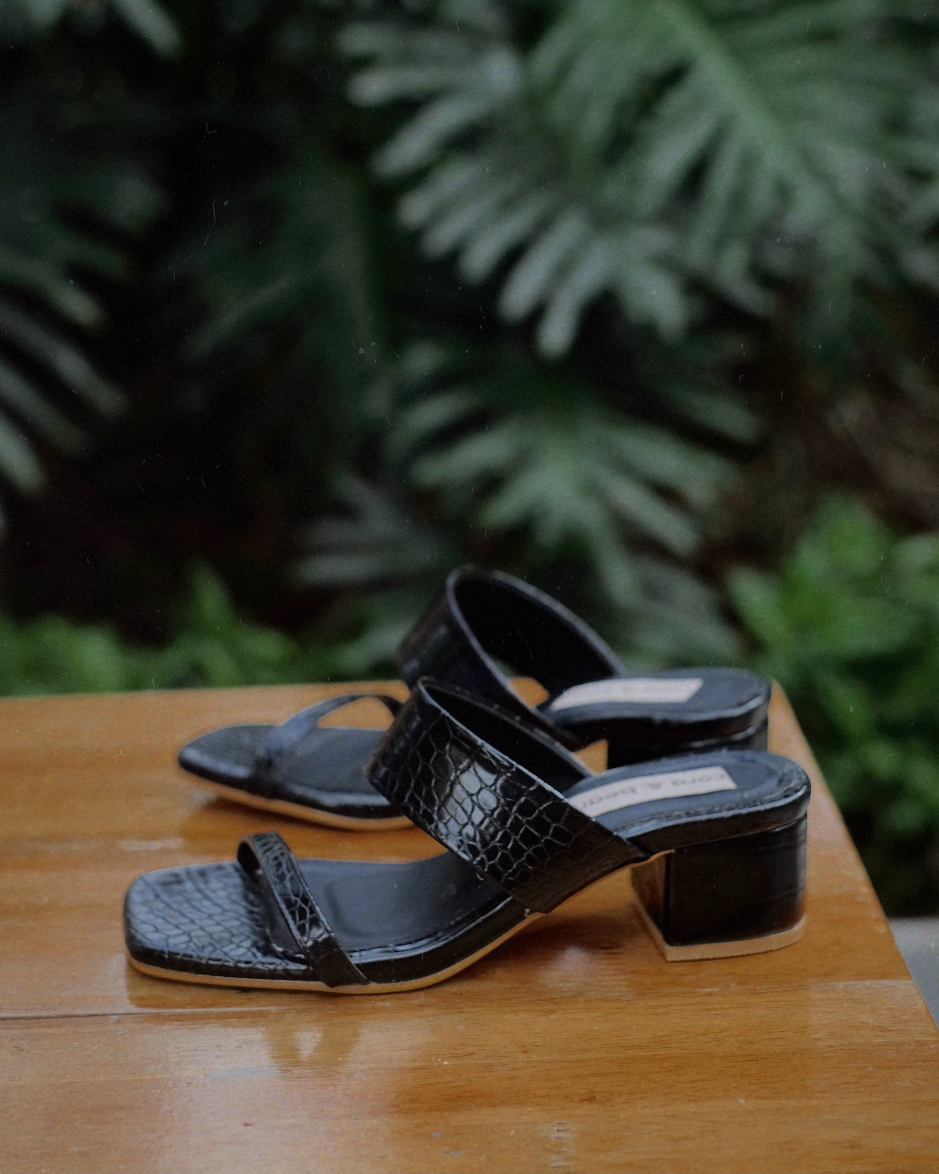 Jupiter Black - Cora and Bear