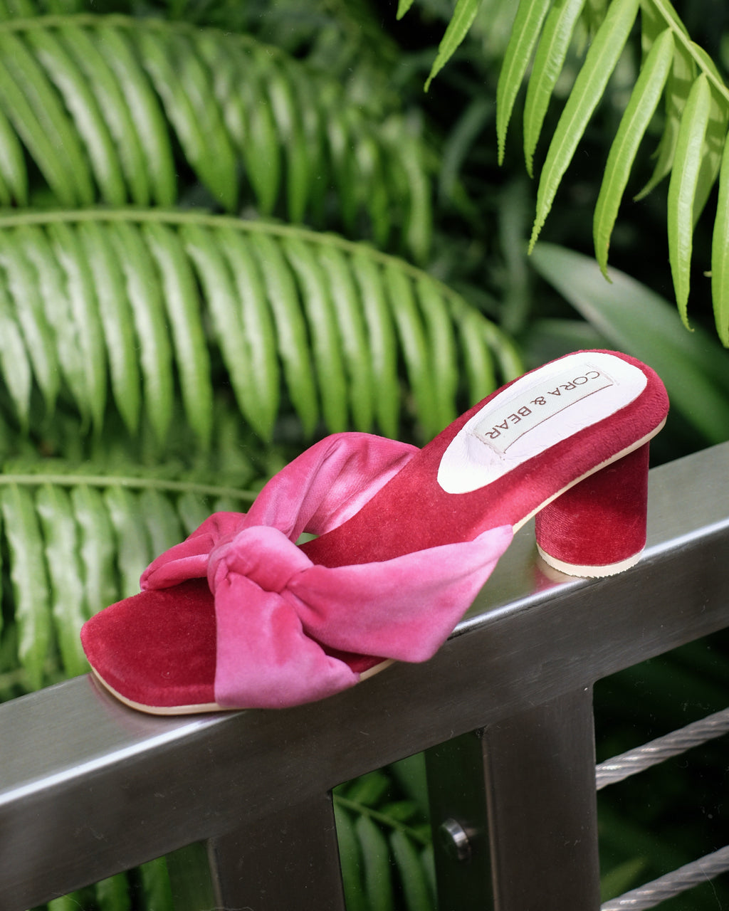 Tango Berry - Cora and Bear