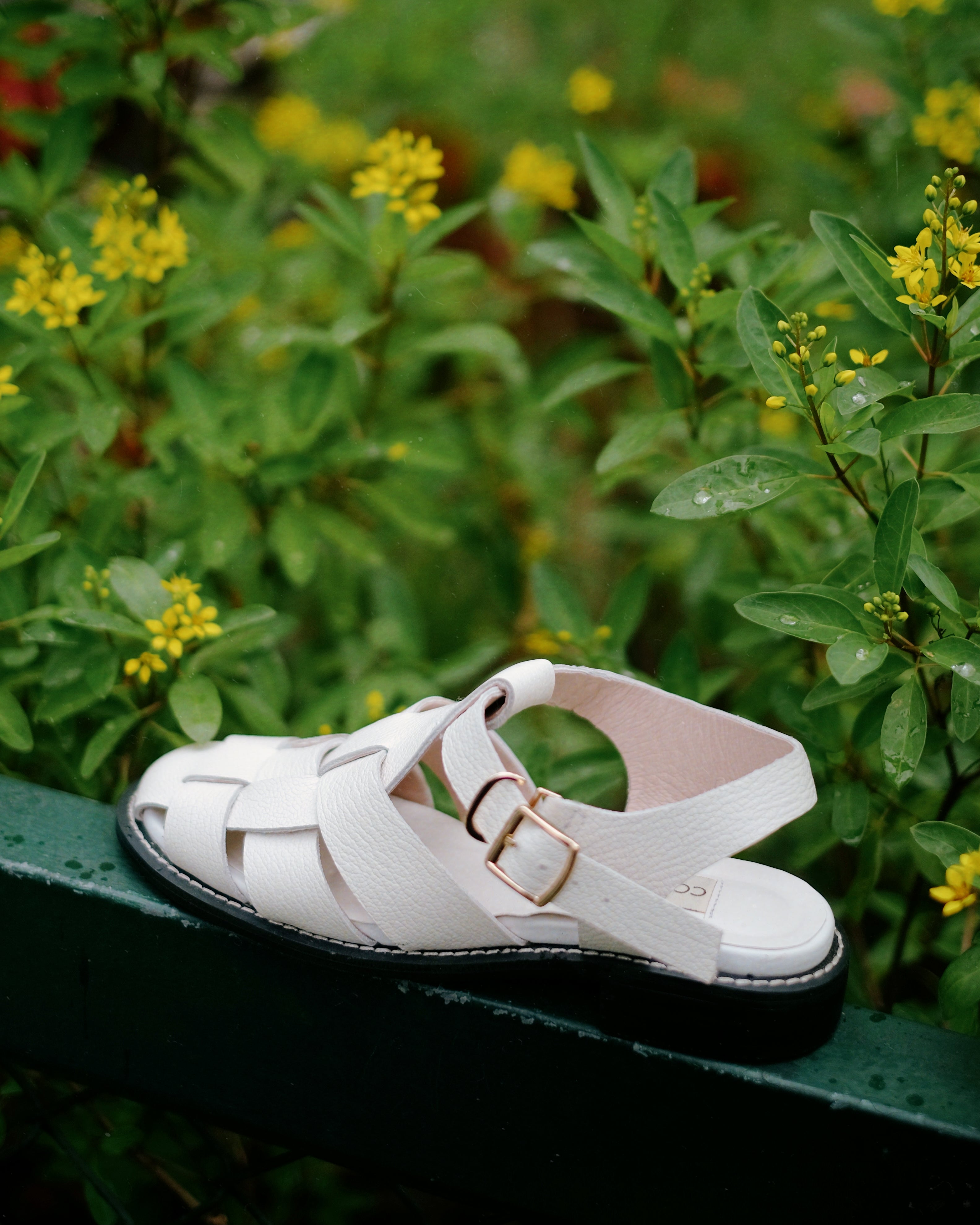 Moon White - Cora and Bear