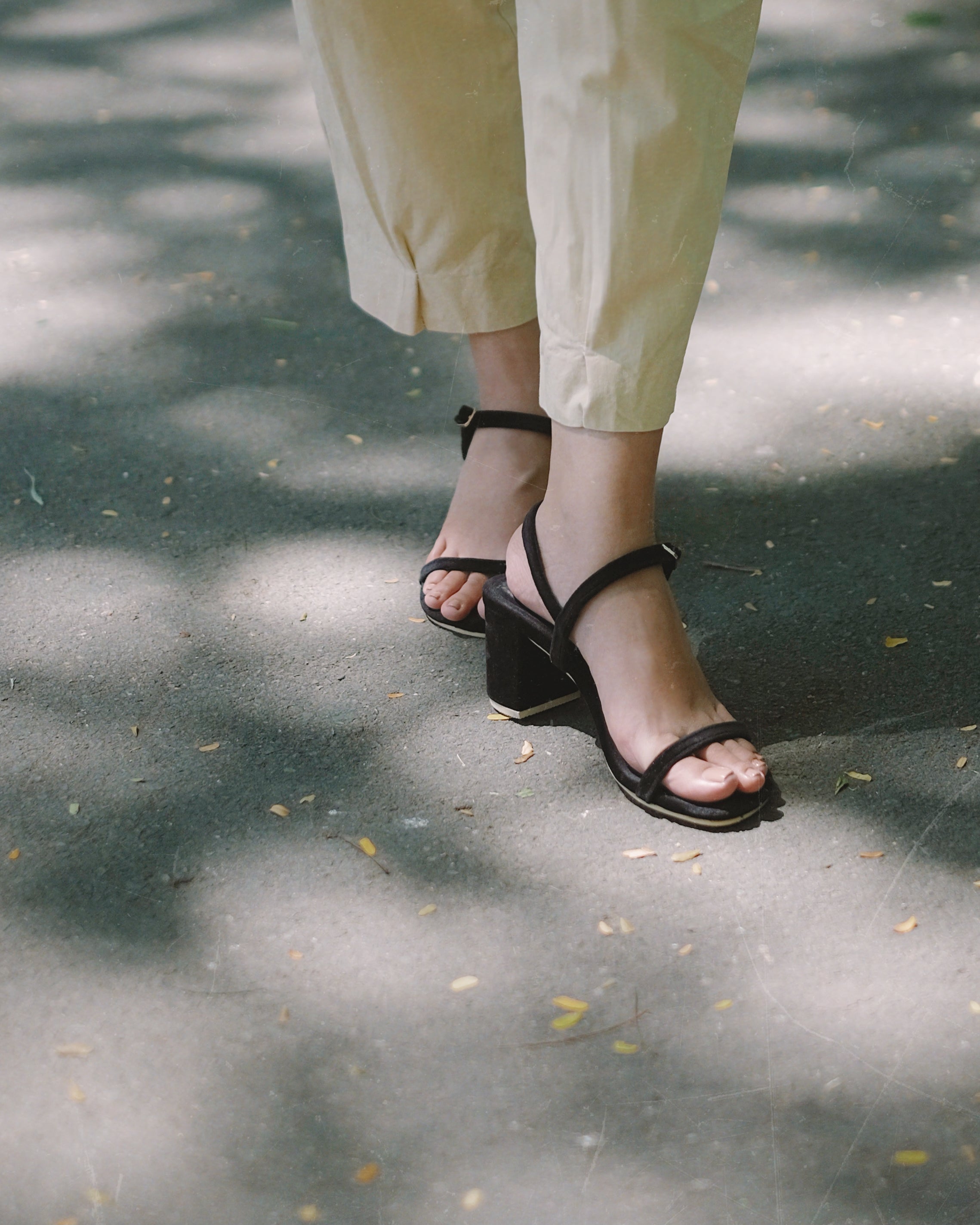 Salsa Black - Cora and Bear