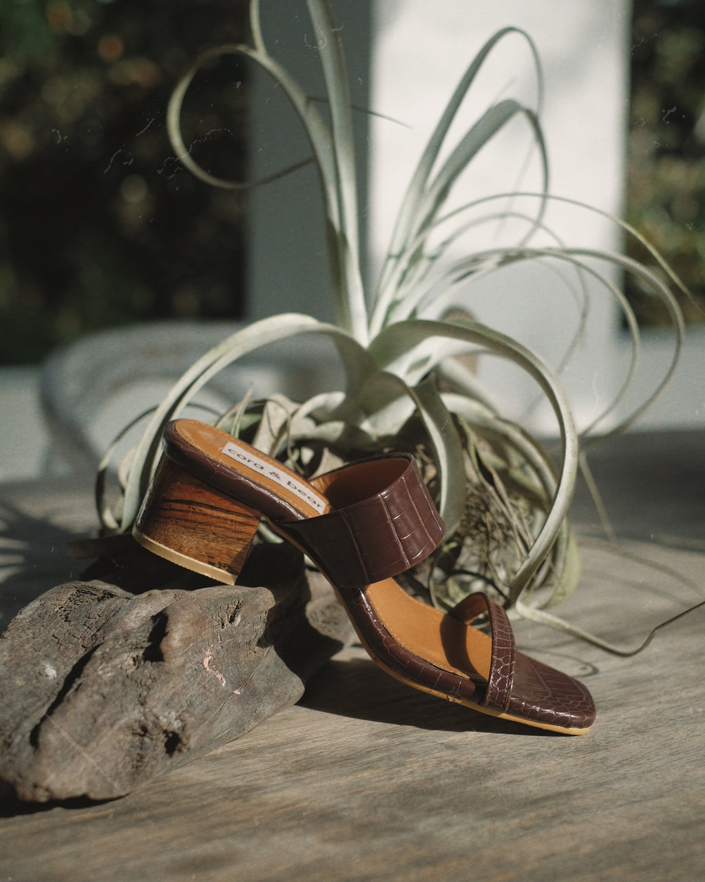 Jupiter Mahogany - Cora and Bear