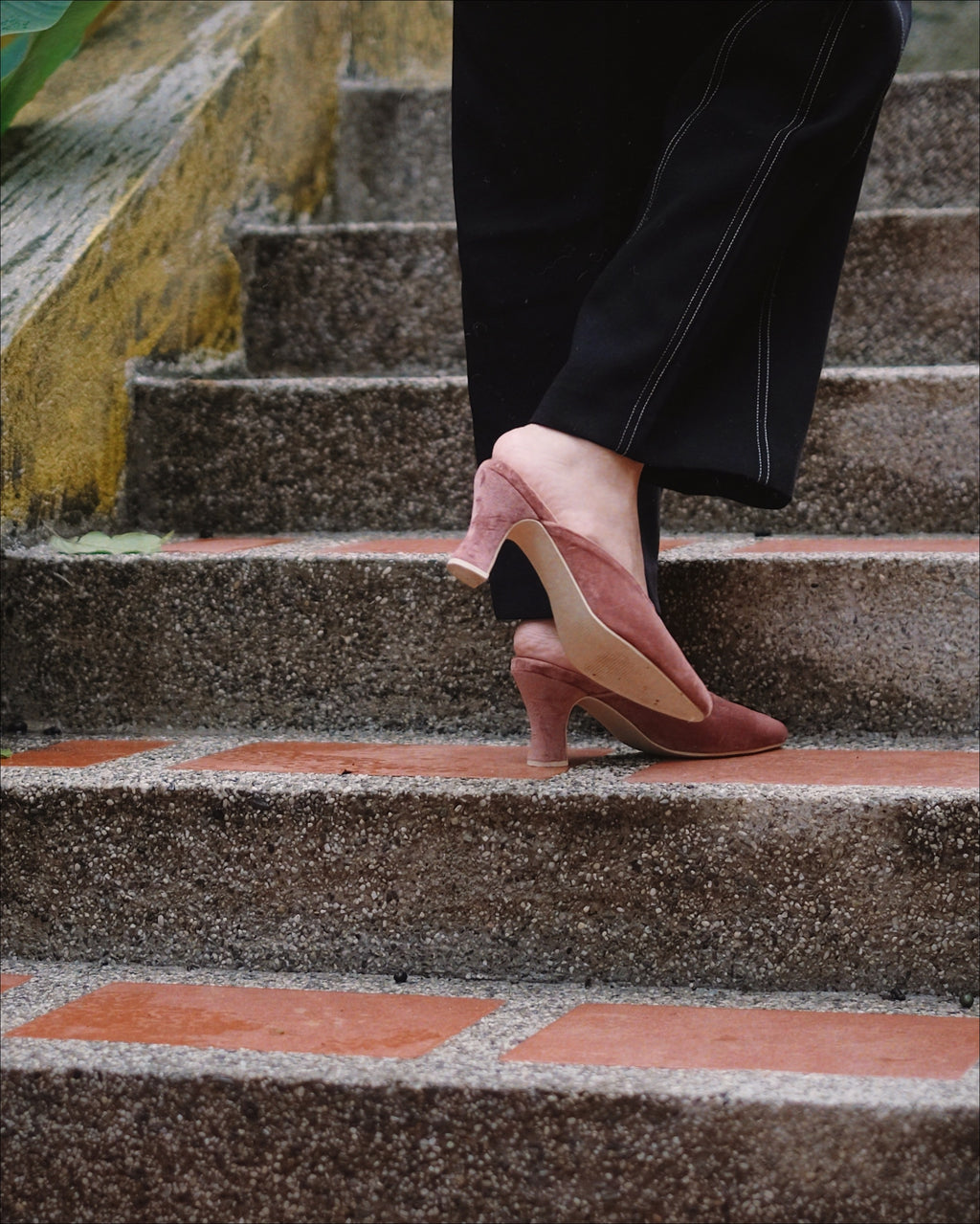 Jackie Blossom - Cora and Bear