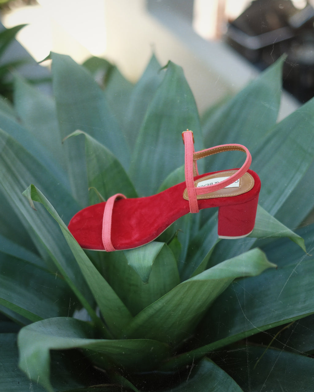 Two-Toned Salsa Strawberry - Cora and Bear