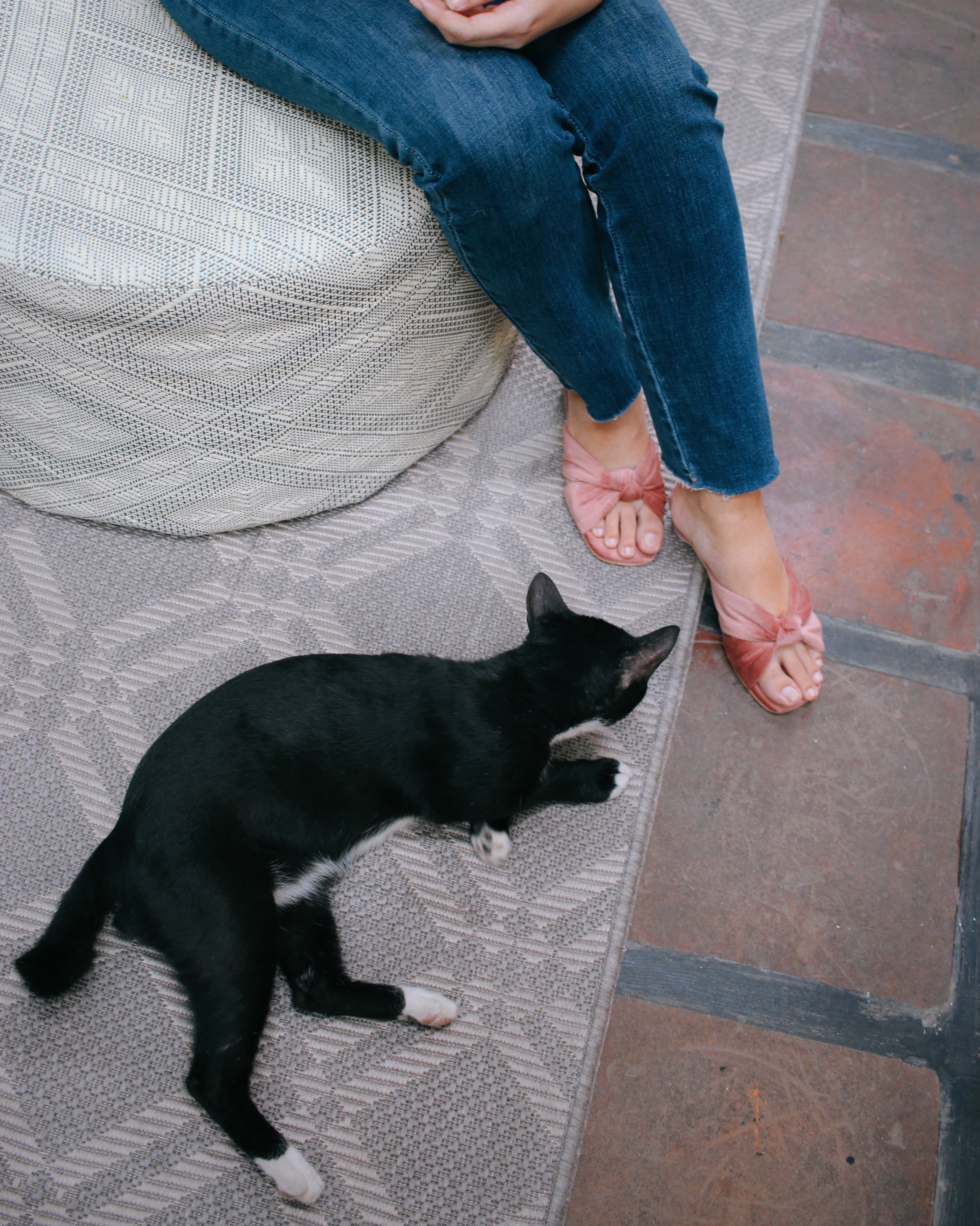 Flamenco Blossom - Cora and Bear