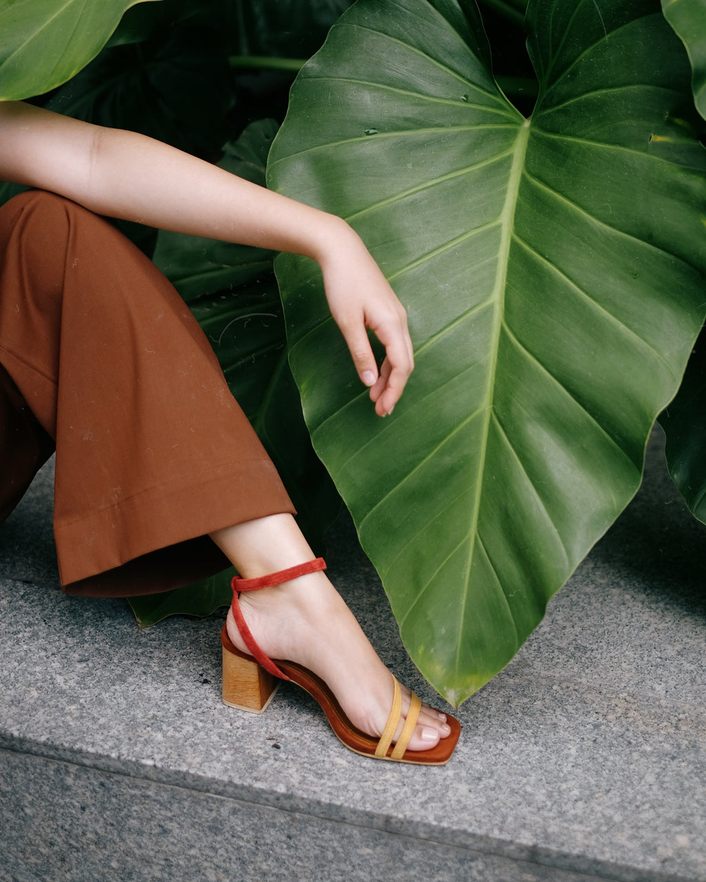 Topanga Terracotta - Cora and Bear