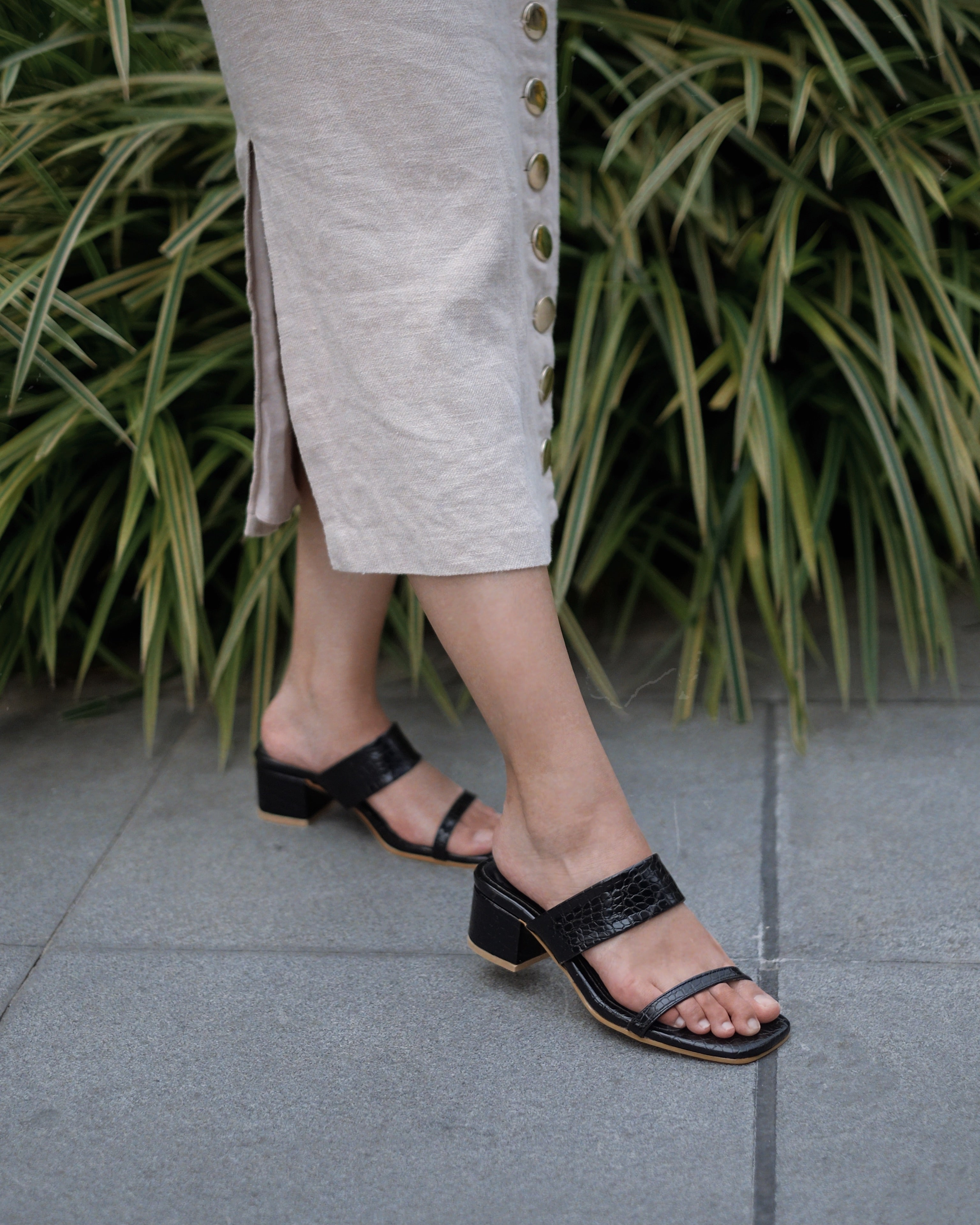 Jupiter Black - Cora and Bear